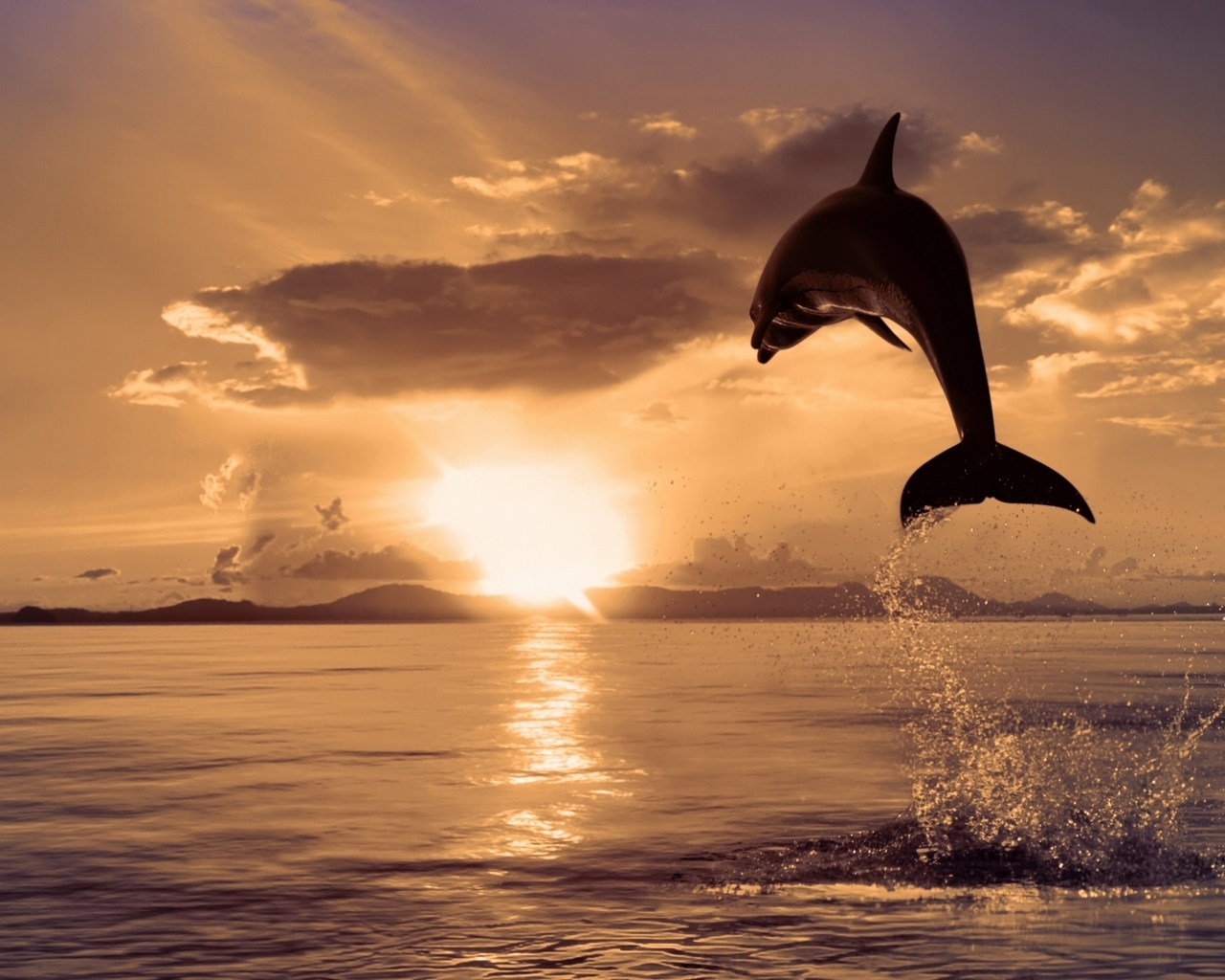 Download mobile wallpaper Animals, Sea, Water, Dolfins, Sun, Landscape, Sunset, Fishes for free.