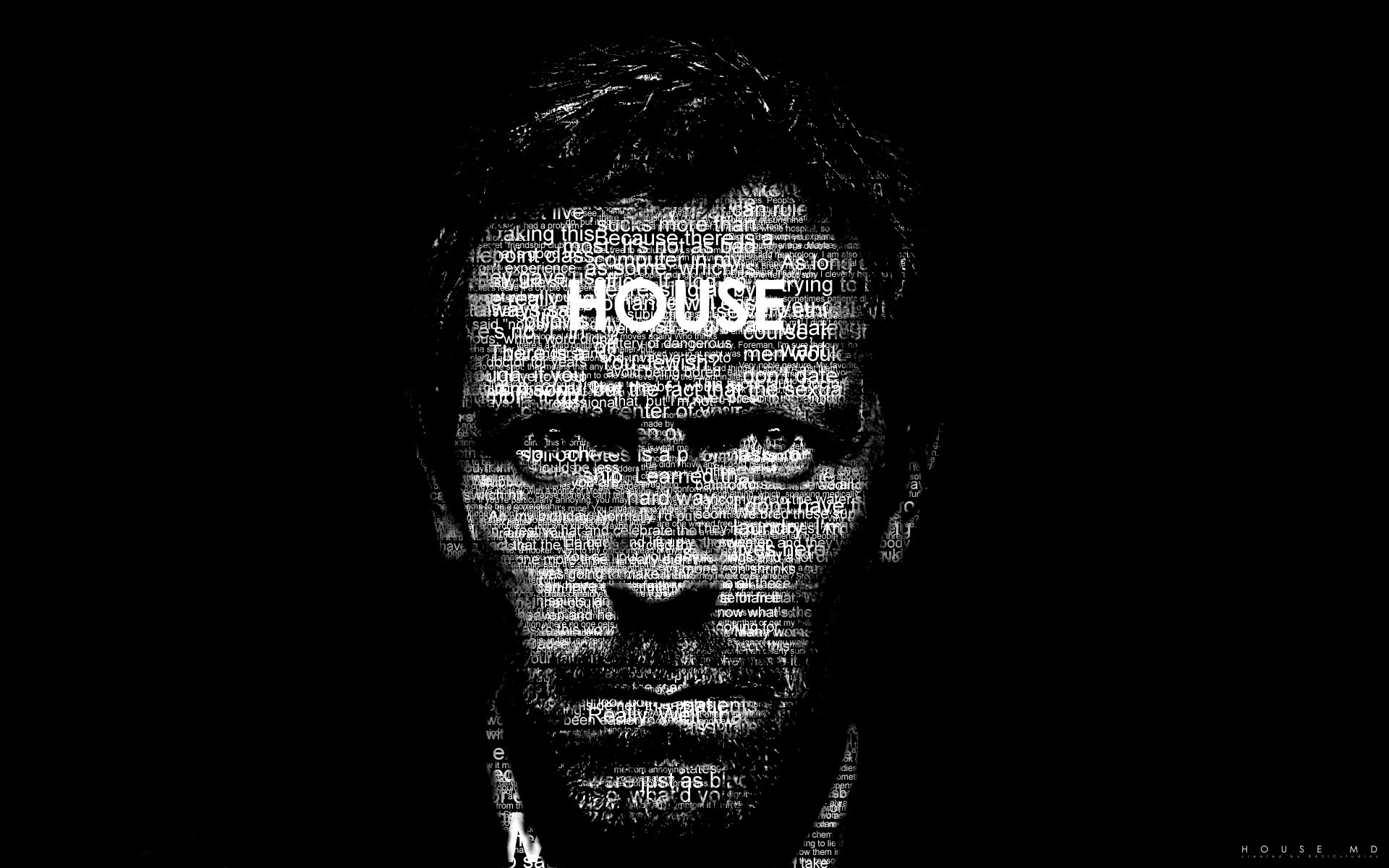 tv show, house, doctor, typography