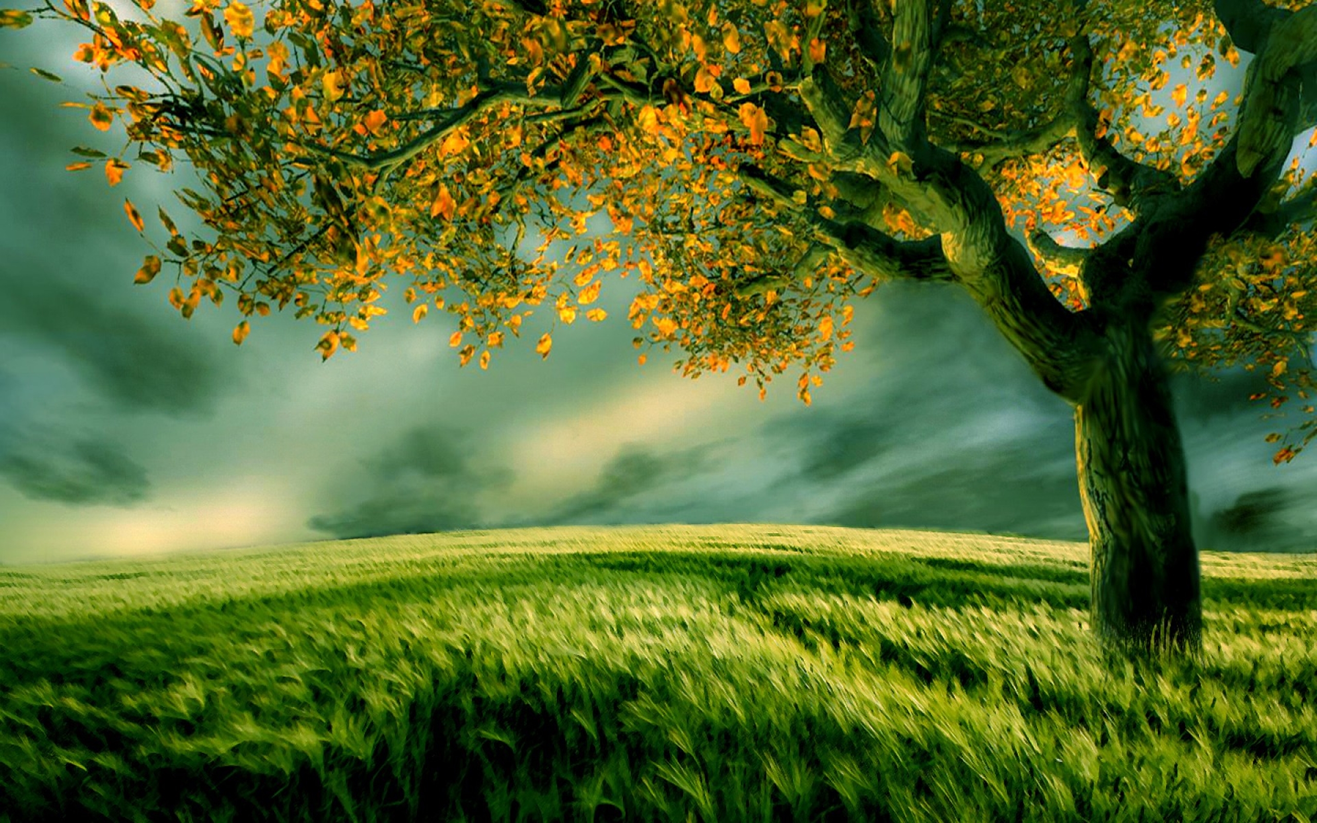 Free download wallpaper Nature, Grass, Gold, Tree, Fall, Field, Artistic on your PC desktop