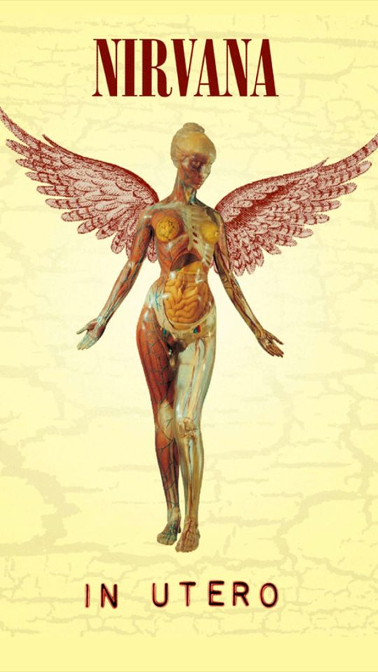 Download mobile wallpaper Music, Angel, Anatomy, Album Cover, Nirvana for free.