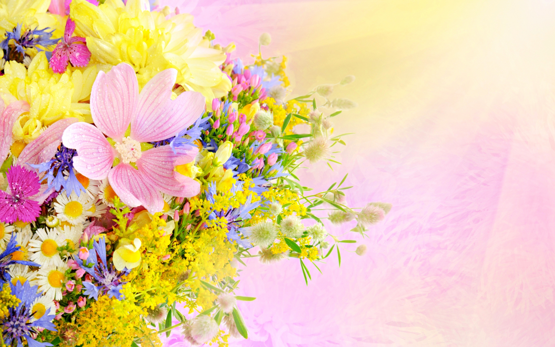 Free download wallpaper Flowers, Flower, Artistic, Pastel on your PC desktop