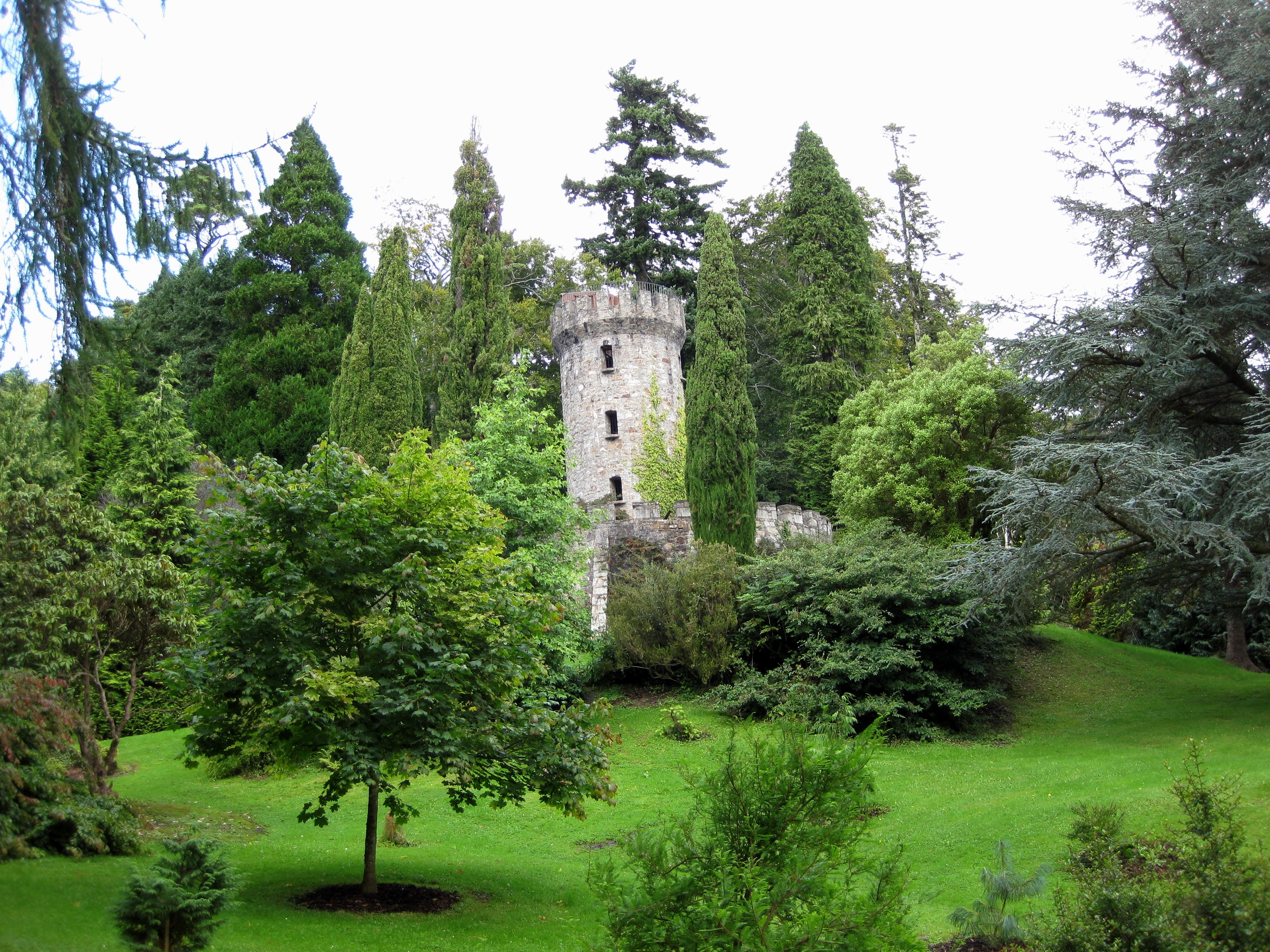 garden, nature, trees, lawn, tower