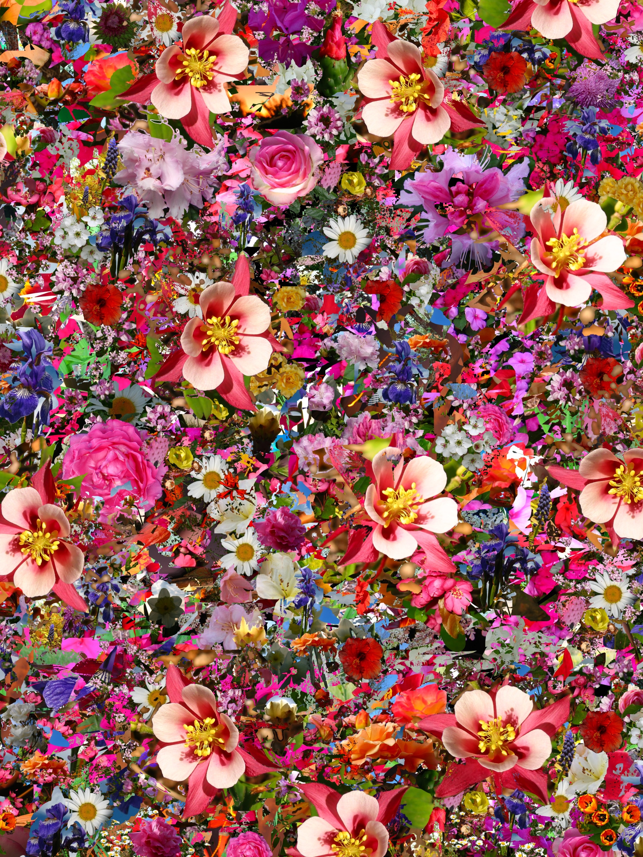 Handy-Wallpaper Blumen, Blume, Farben, Bunt, Künstlerisch kostenlos herunterladen.