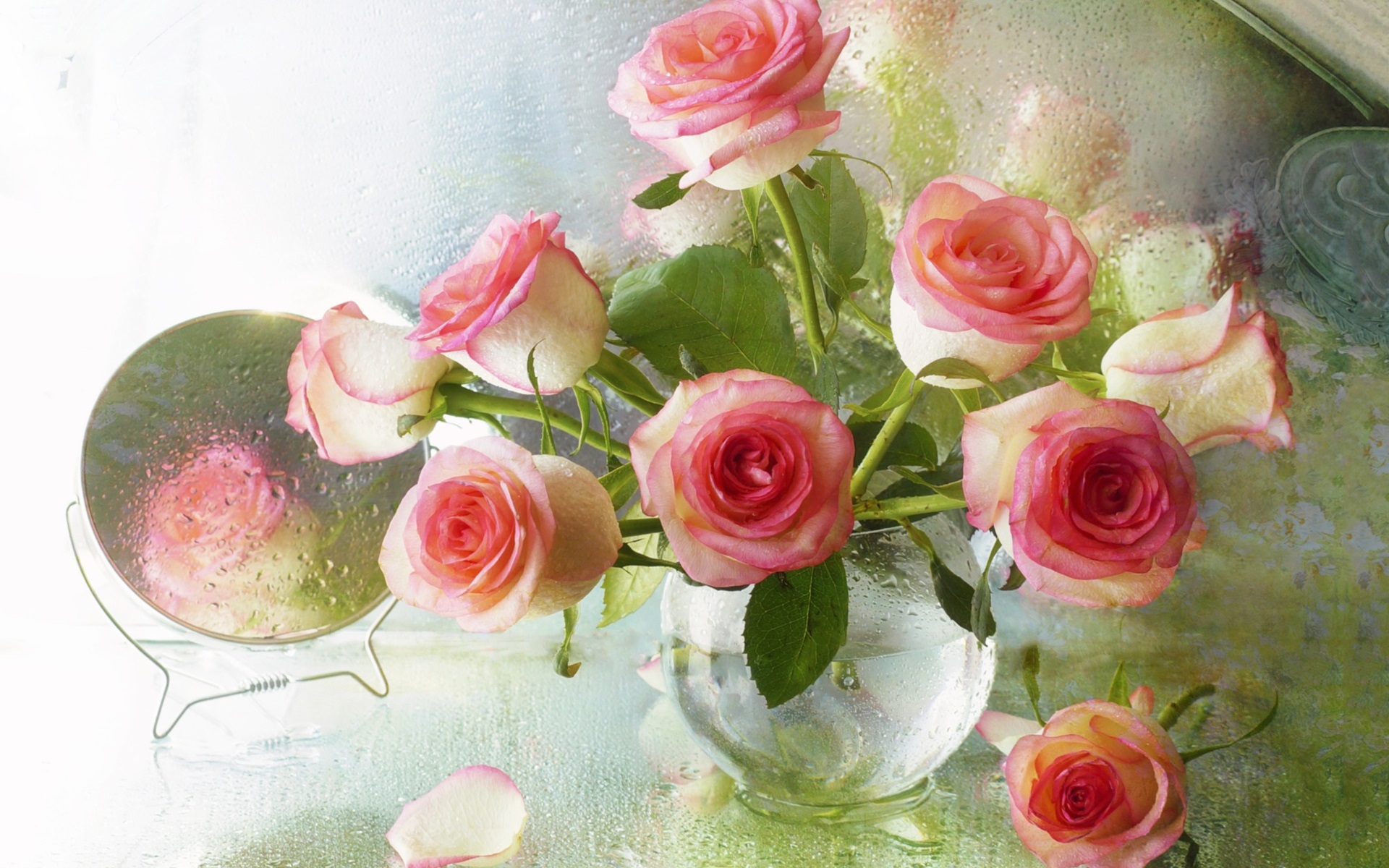 Download mobile wallpaper Still Life, Rose, Vase, Mirror, Photography, Pink Flower, Pink Rose for free.