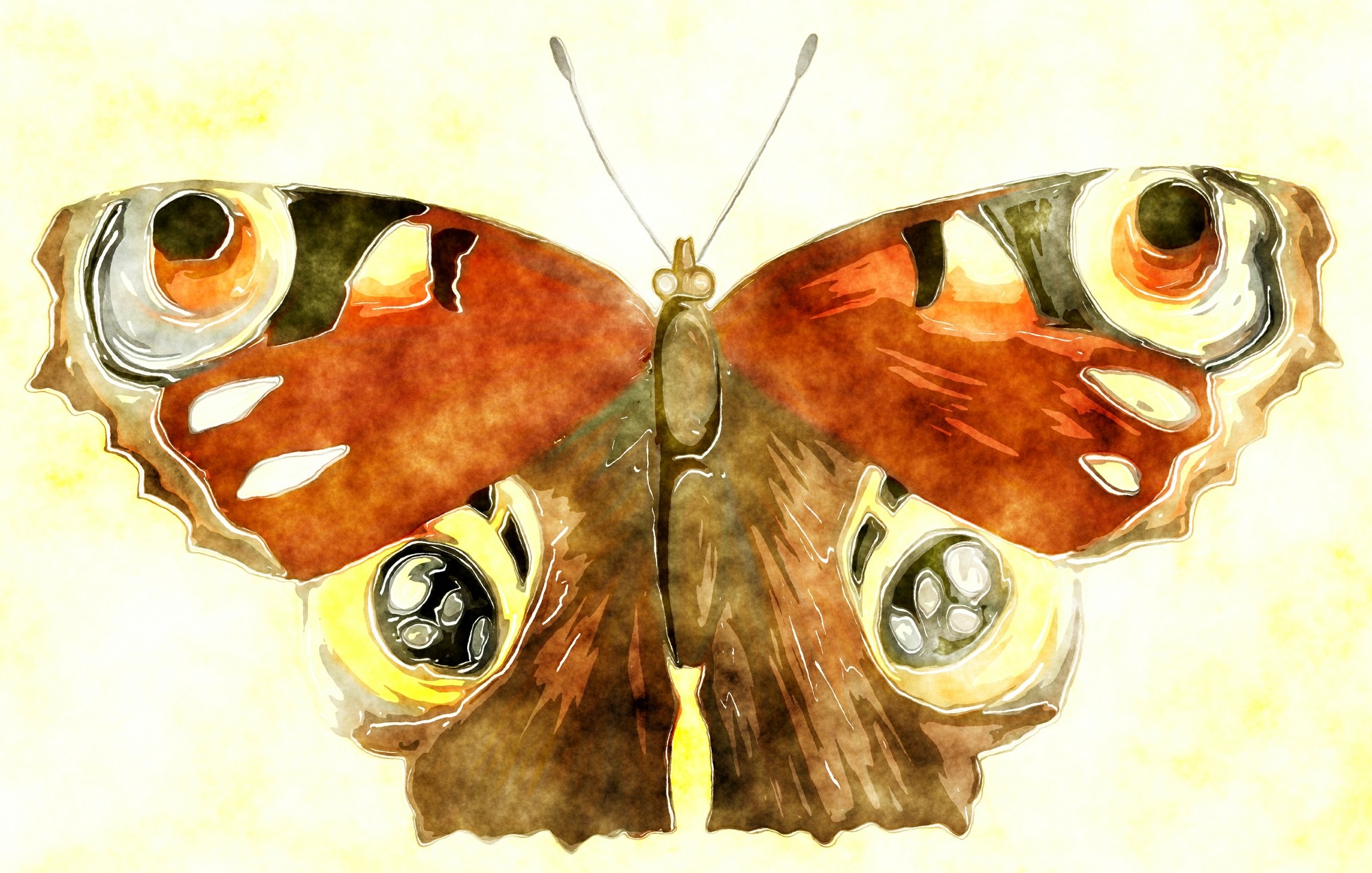 Download mobile wallpaper Butterfly, Colorful, Artistic, Watercolor for free.