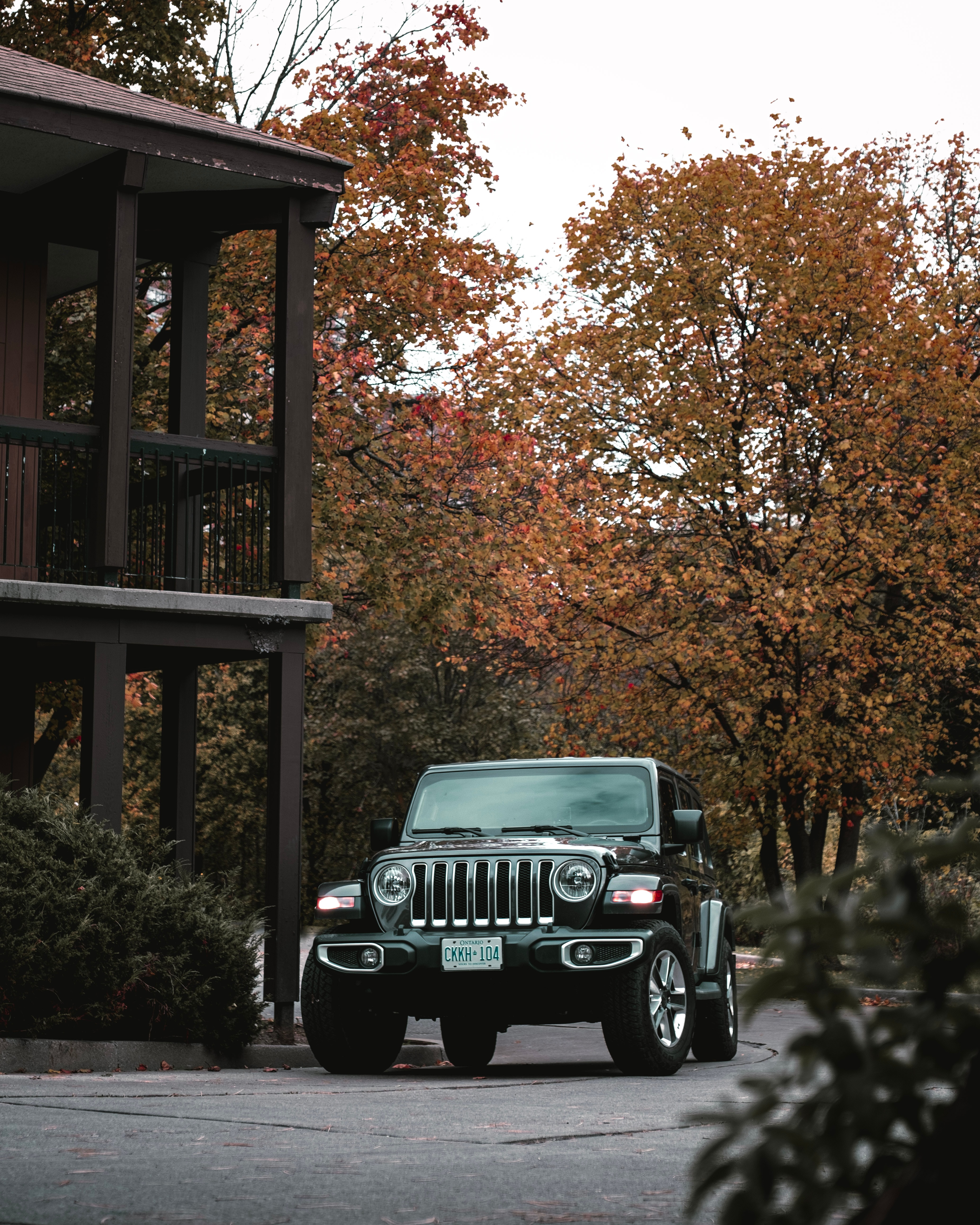 jeep, suv, jeep wrangler, black, cars, car, front view