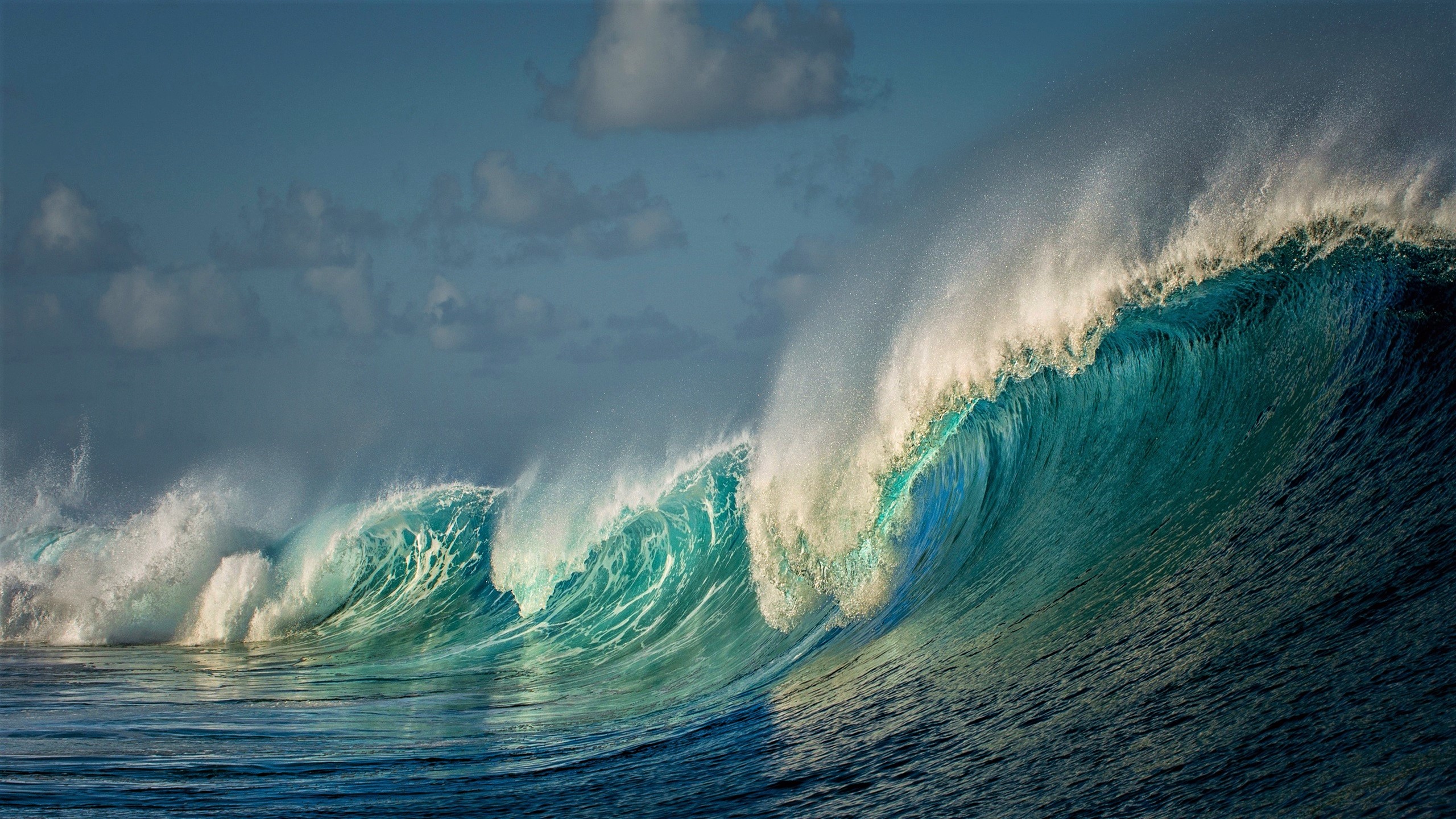 Скачать картинку Море, Океан, Волна, Бирюзовый, Земля/природа в телефон бесплатно.