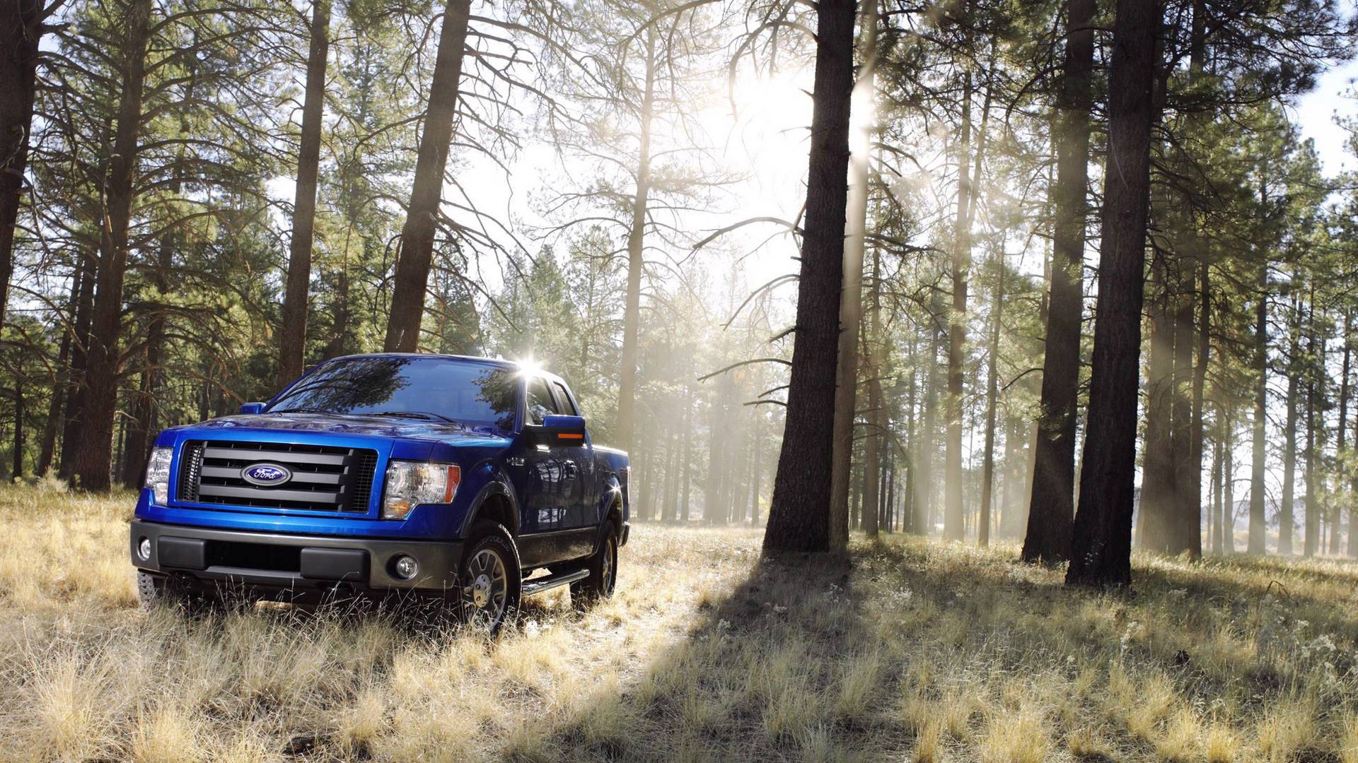 Download mobile wallpaper Ford, Ford F 150, Vehicles for free.