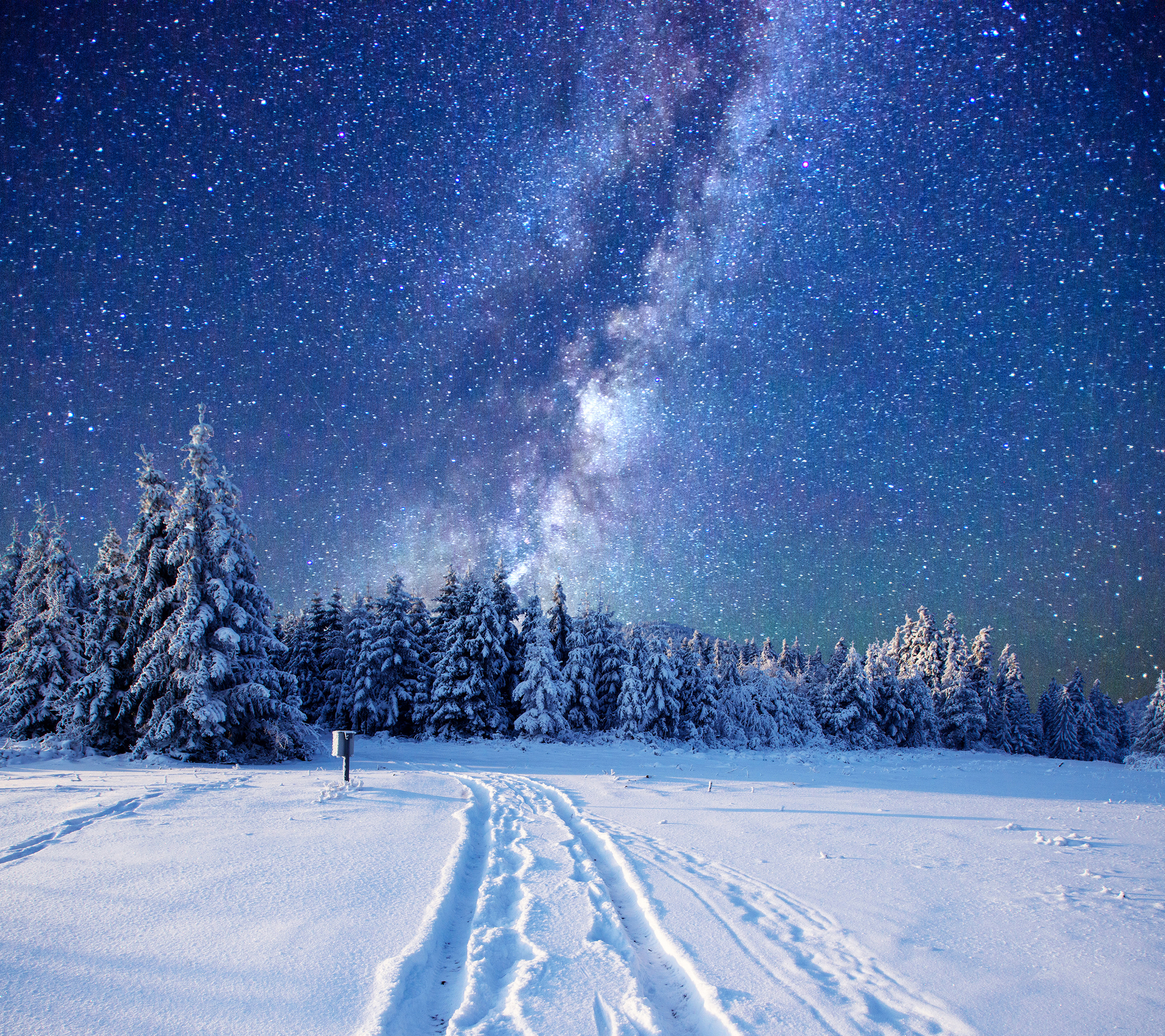 Laden Sie das Winter, Natur, Sterne, Schnee, Wald, Milchstraße, Science Fiction, Himmel-Bild kostenlos auf Ihren PC-Desktop herunter