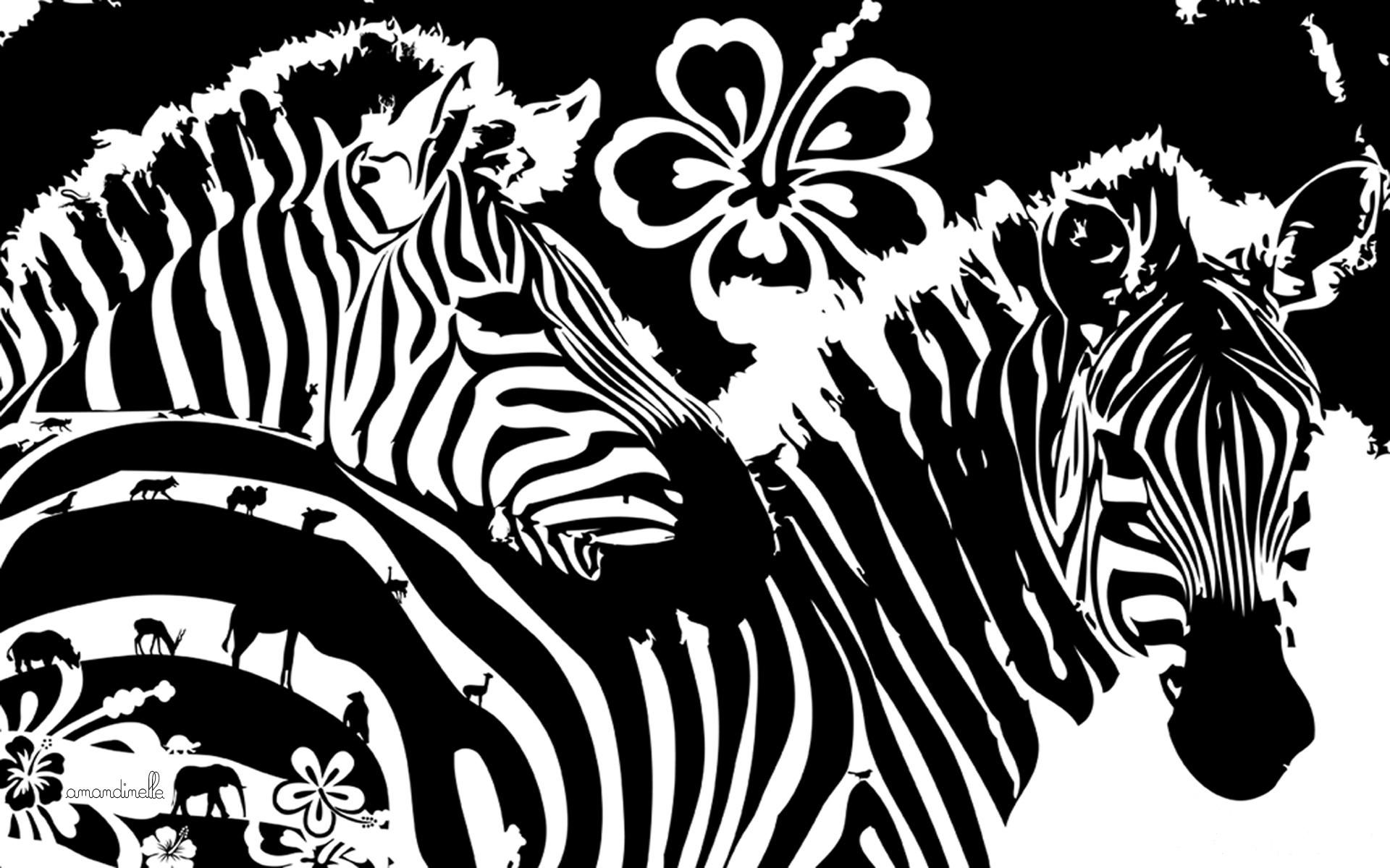 art, zebra, flowers, lines, graphics