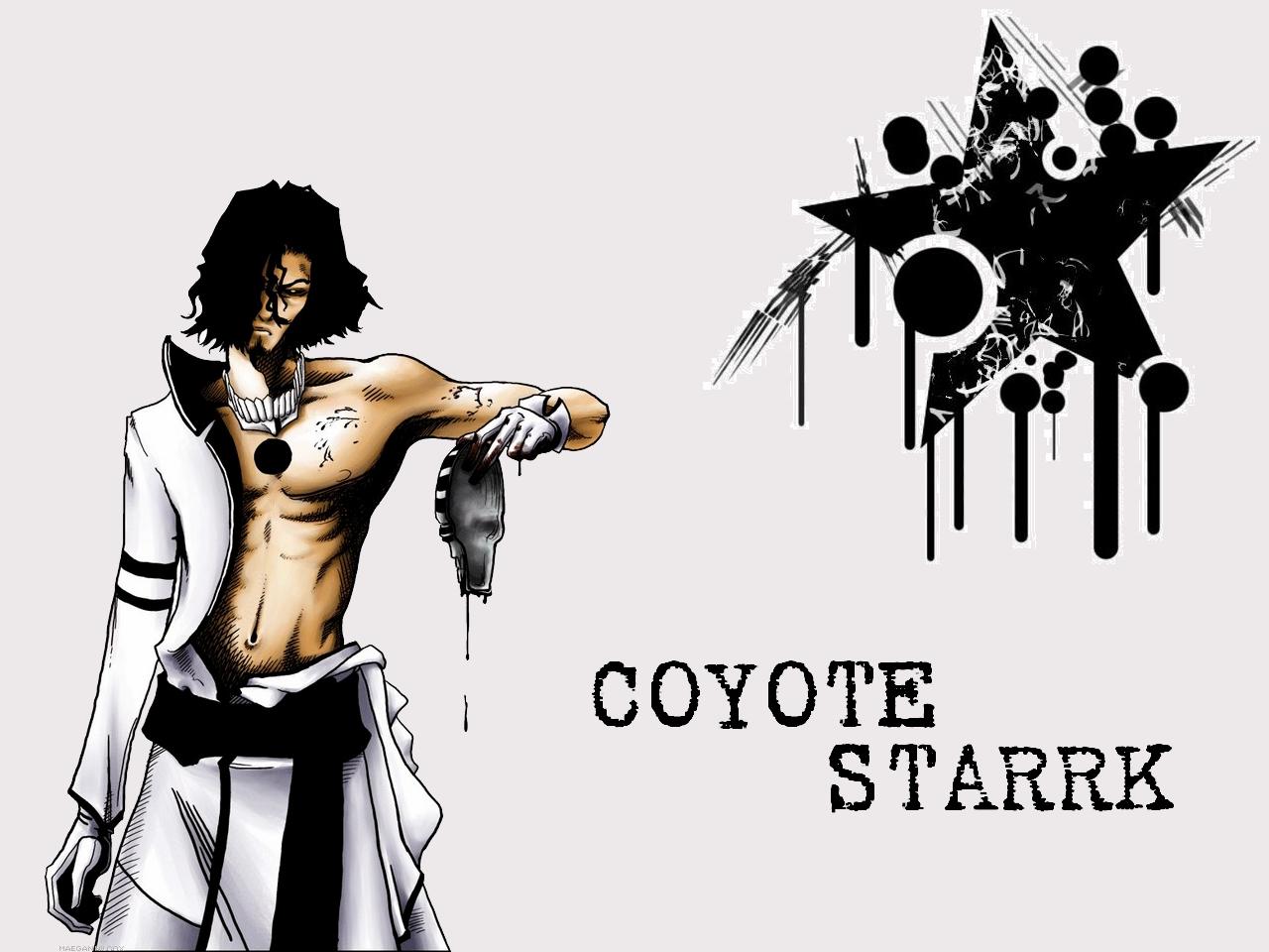 anime, bleach, coyote starrk