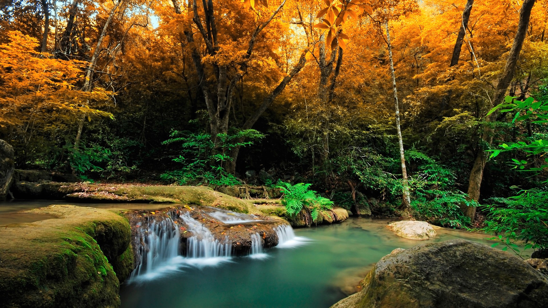 Descarga gratuita de fondo de pantalla para móvil de Otoño, Cascadas, Cascada, Bosque, Tierra/naturaleza.