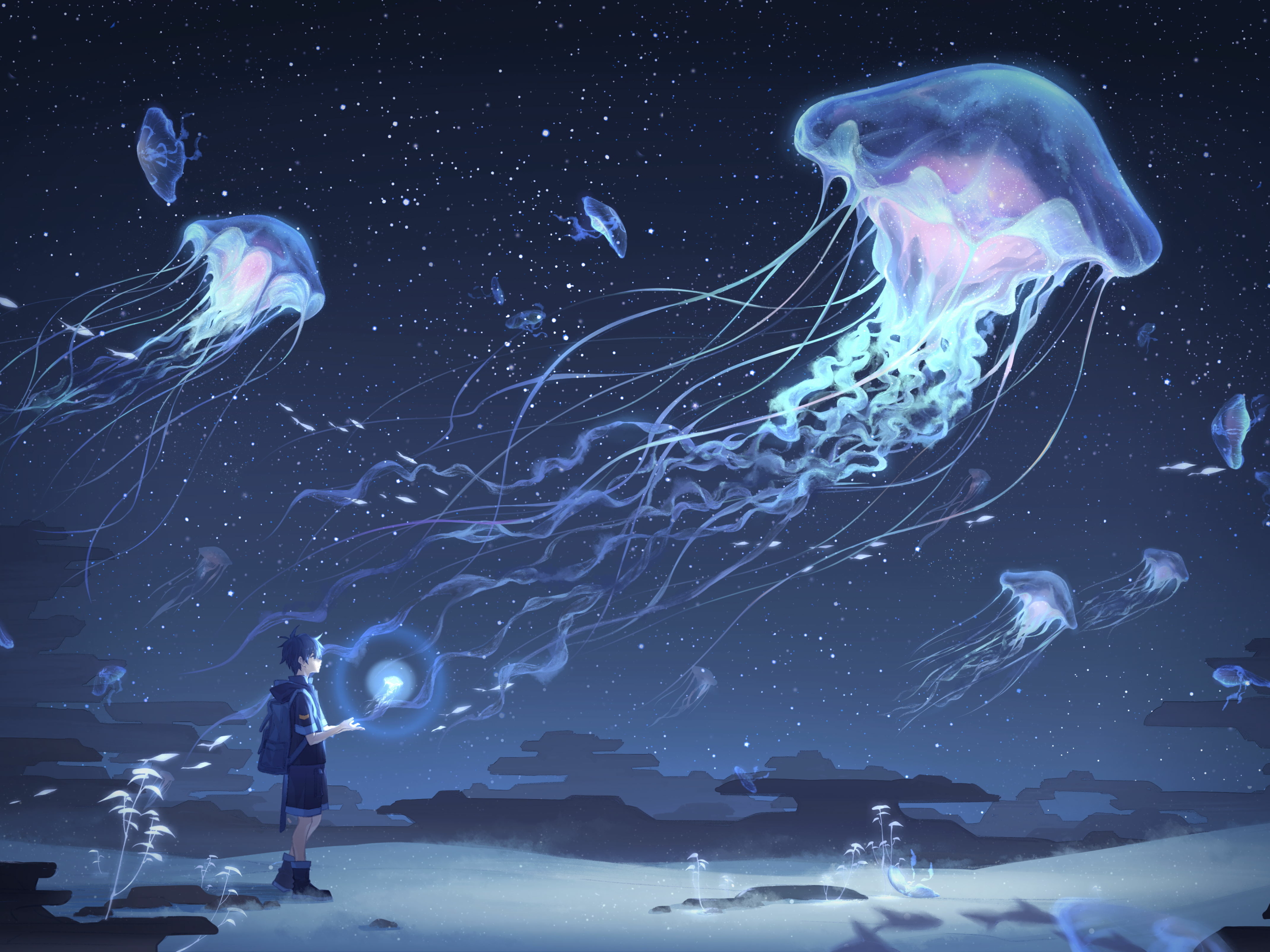 Baixe gratuitamente a imagem Anime, Água Viva, Medusa, Original na área de trabalho do seu PC