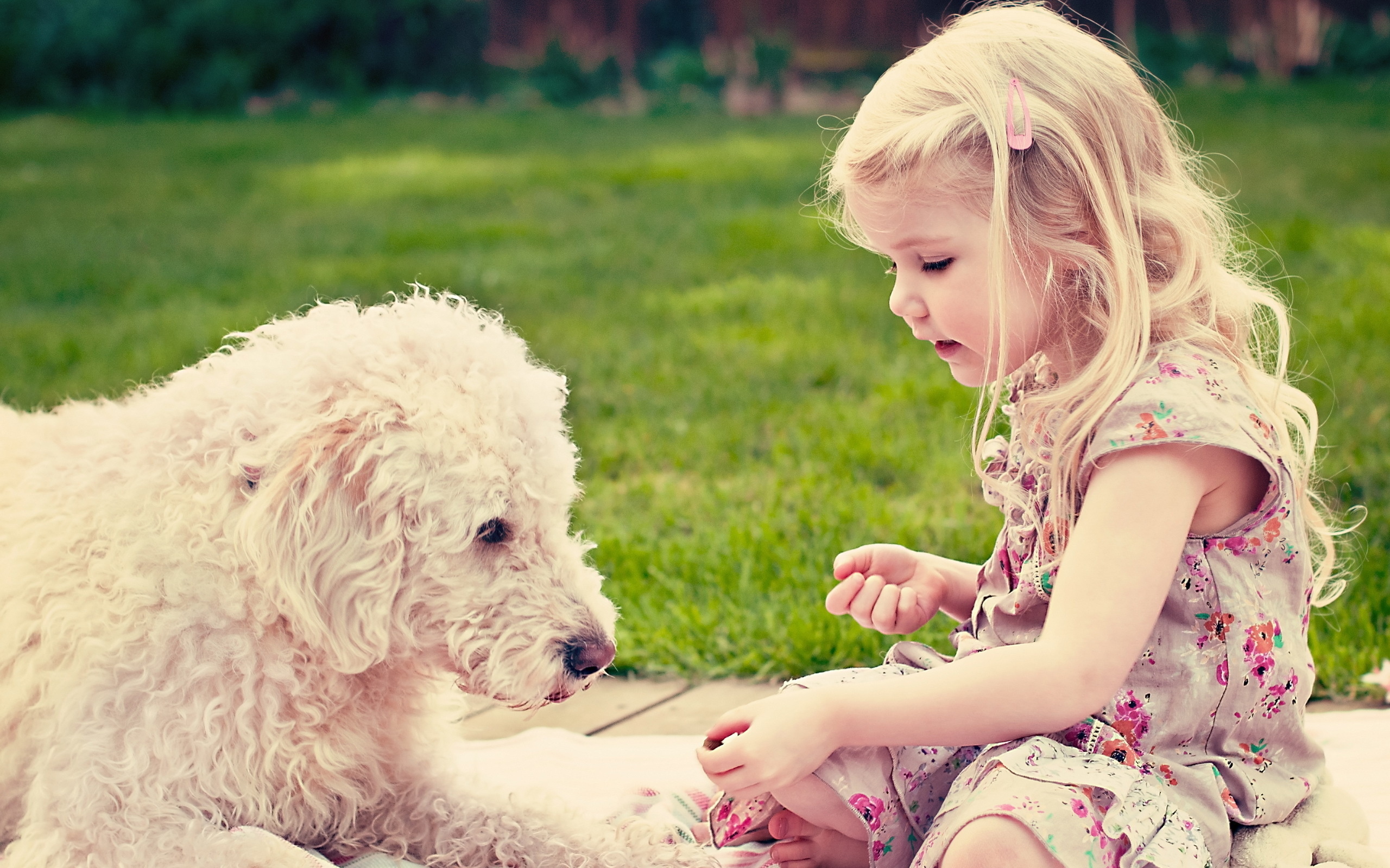 Download mobile wallpaper Dog, Child, Cute, Photography for free.