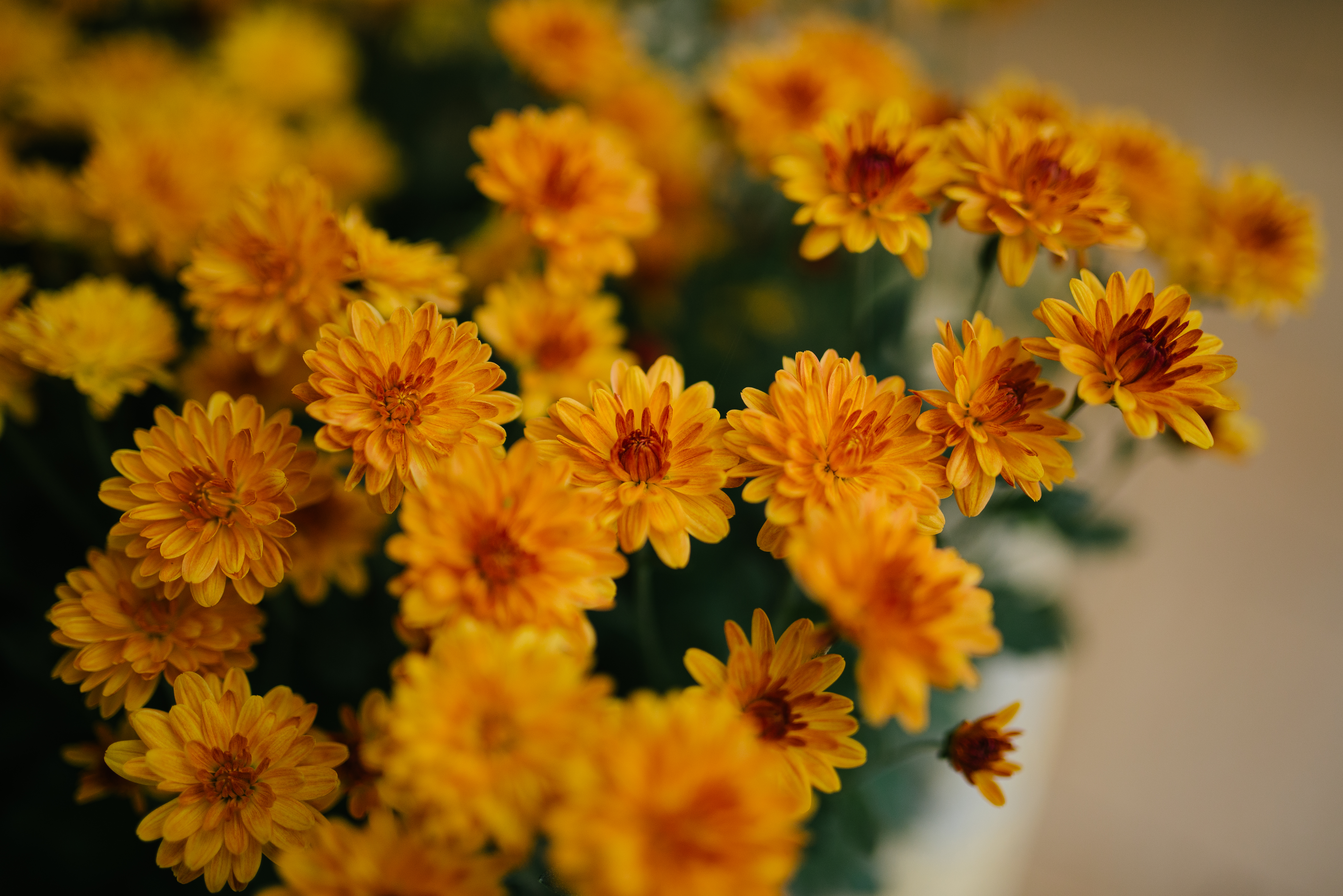 yellow, chrysanthemum, flowers, bouquet wallpaper for mobile