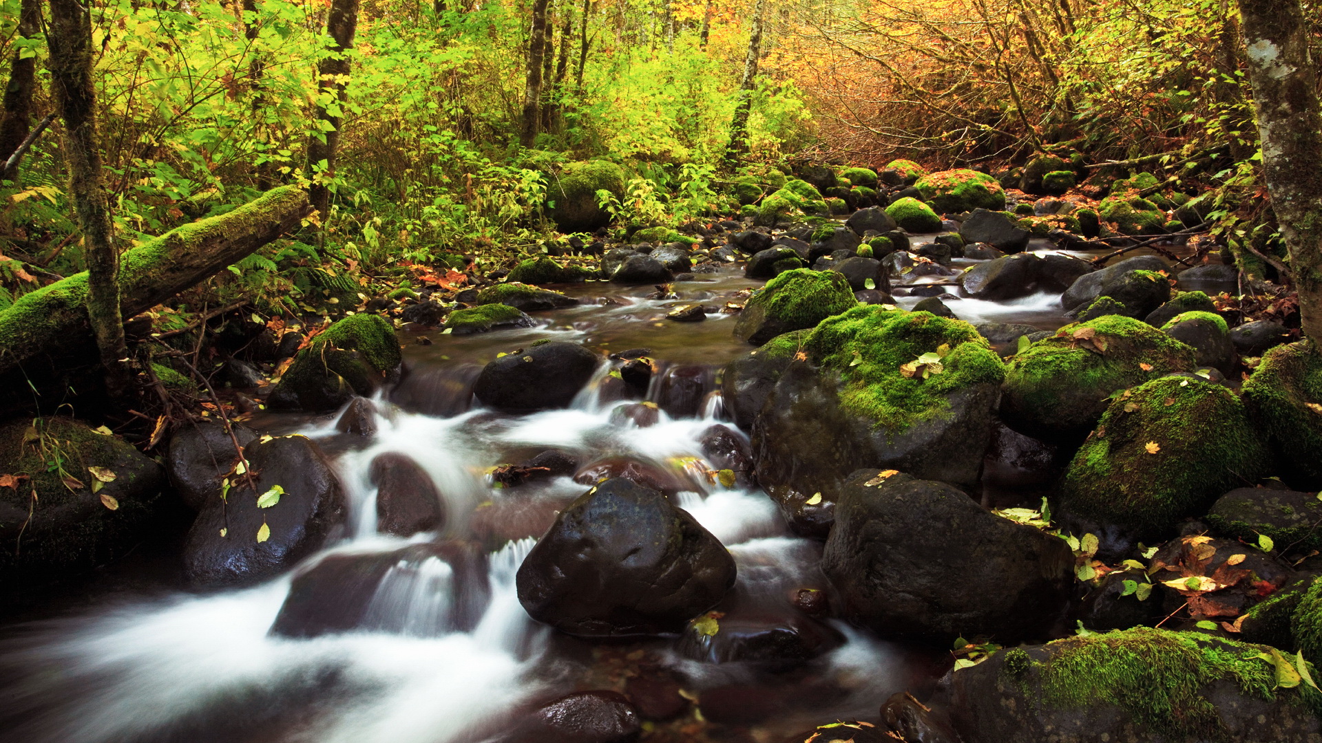 Handy-Wallpaper Fluss, Erde/natur kostenlos herunterladen.