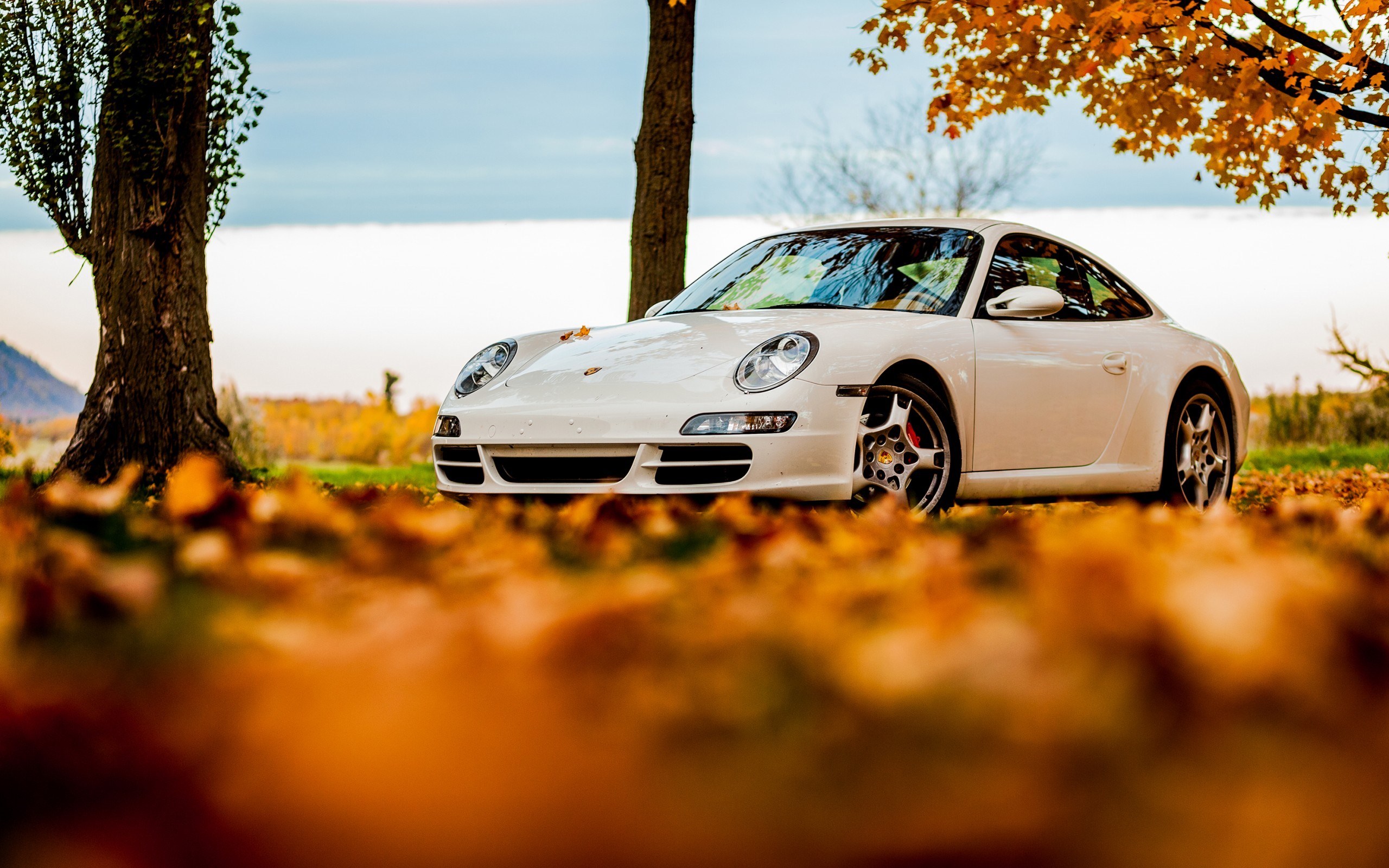 Скачати мобільні шпалери Порш, Porsche 911, Транспортні Засоби безкоштовно.