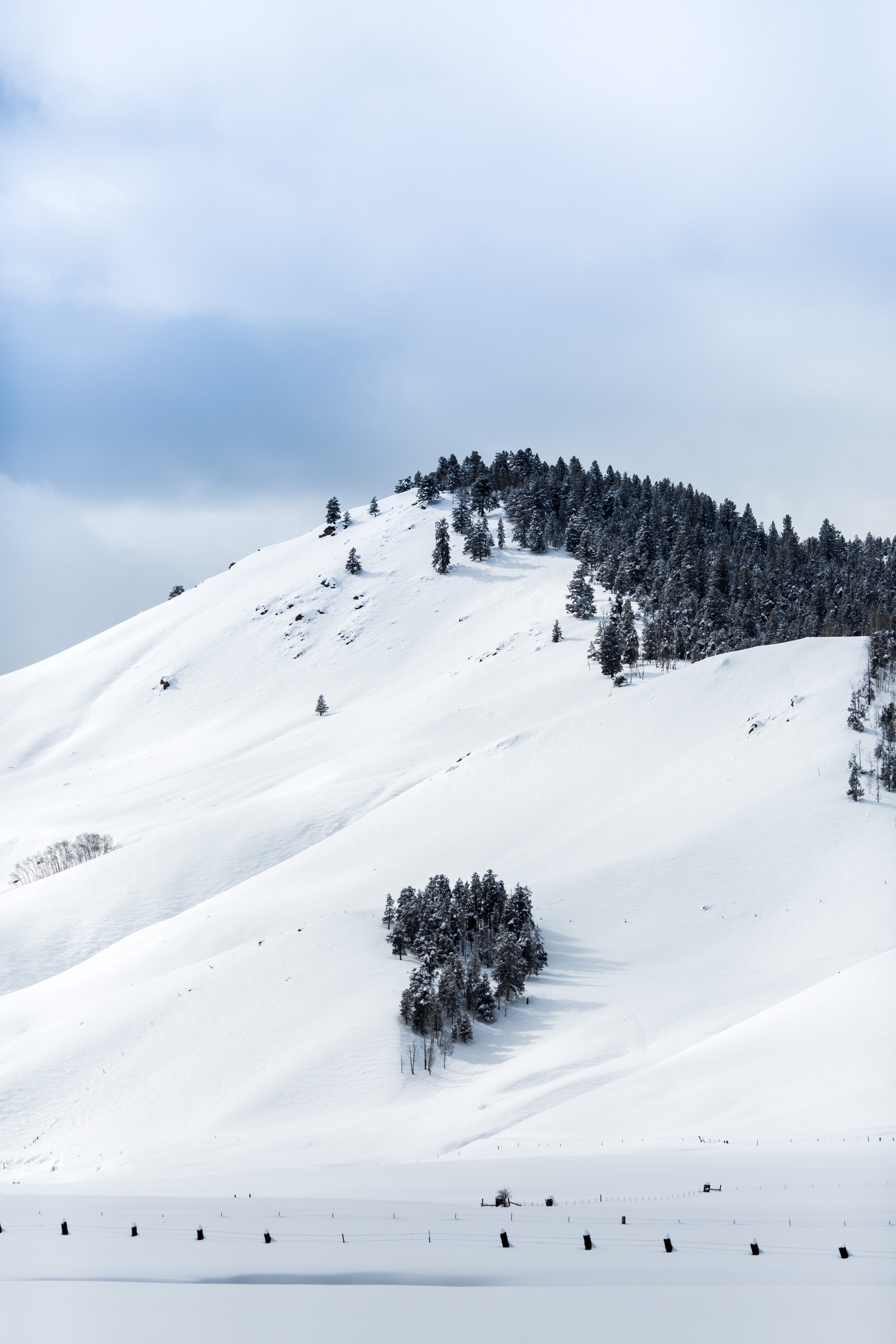 Descarga gratuita de fondo de pantalla para móvil de Vértice, Arriba, Naturaleza, Nieve, Invierno, Árboles, Montañas.