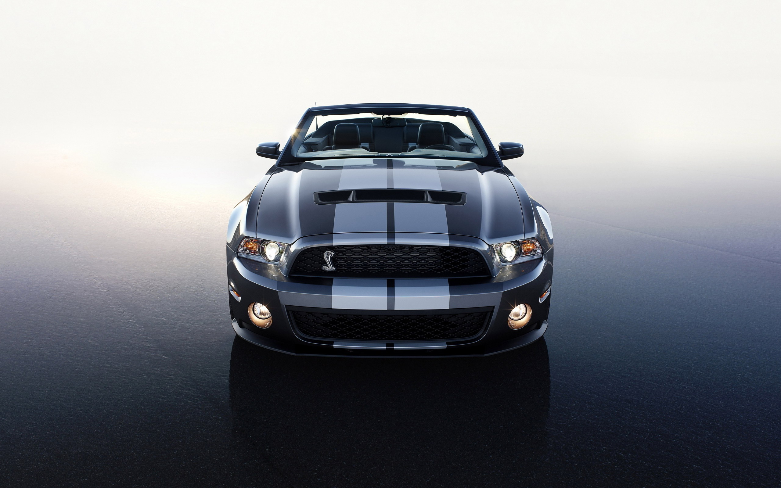 Handy-Wallpaper Ford, Ford Mustang, Fahrzeuge kostenlos herunterladen.