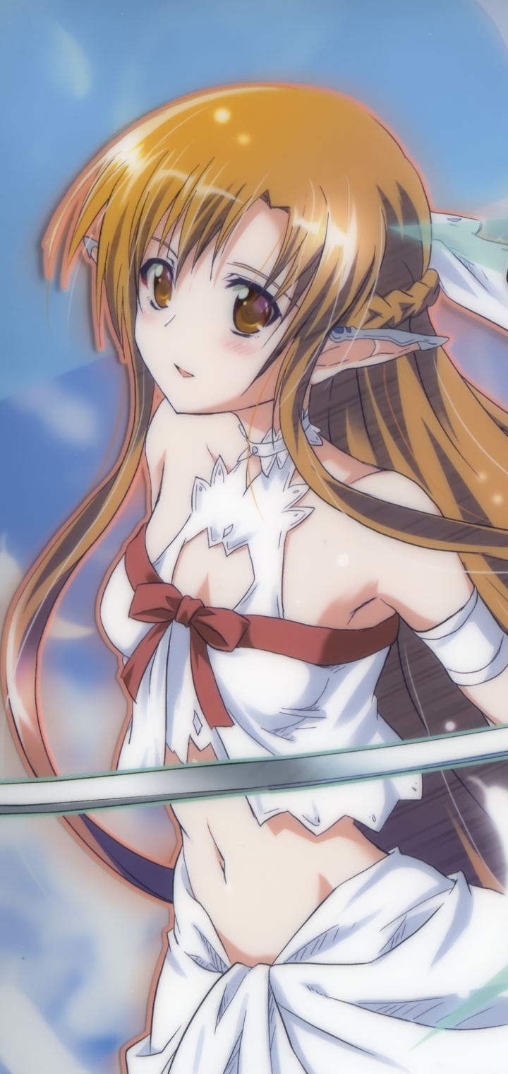 Handy-Wallpaper Animes, Asuna Yuuki, Sword Art Online, Suguha Kirigaya kostenlos herunterladen.