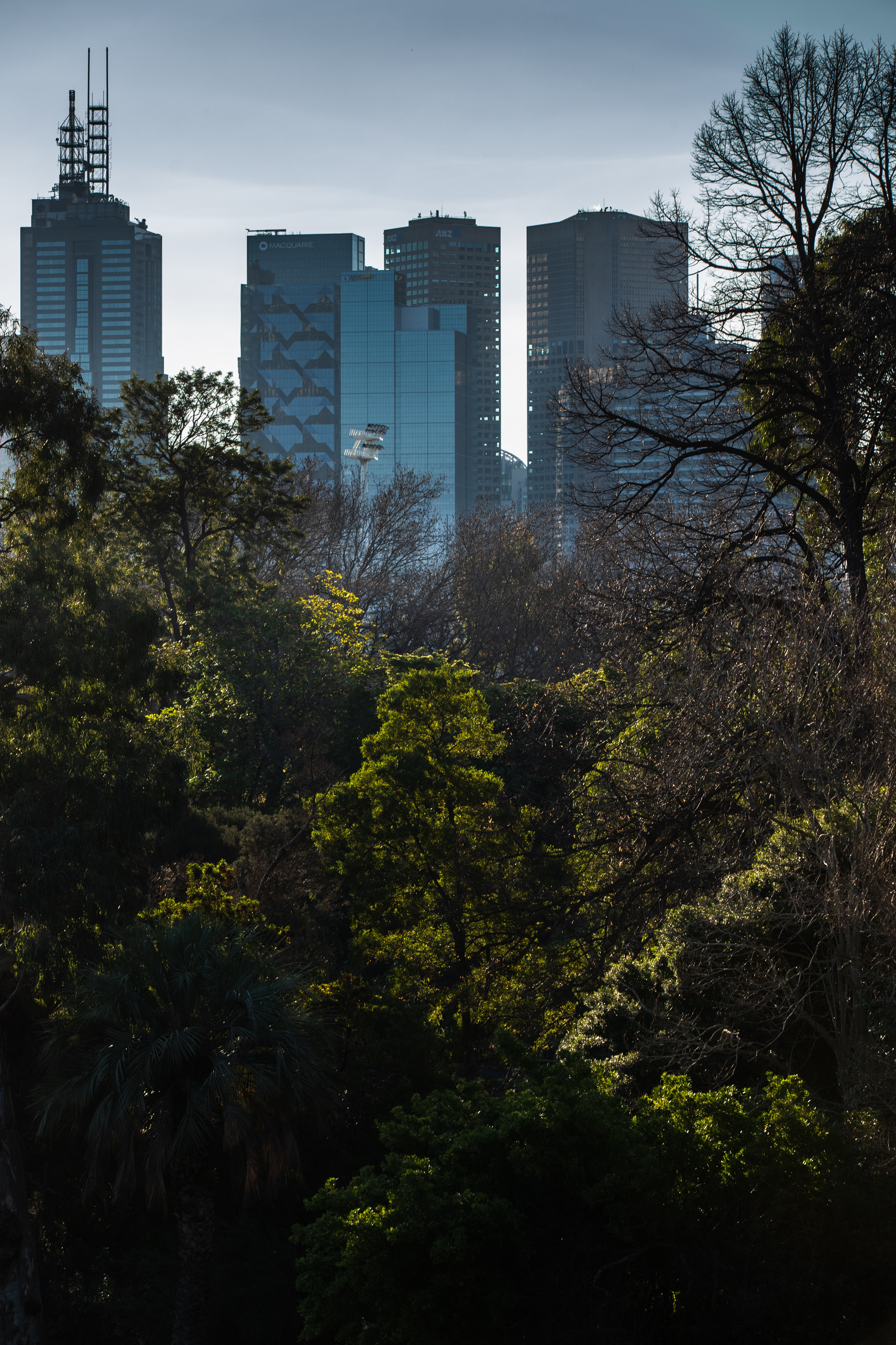 Descarga gratis la imagen Ciudad, Edificio, Árboles, Ciudades, Rascacielos en el escritorio de tu PC