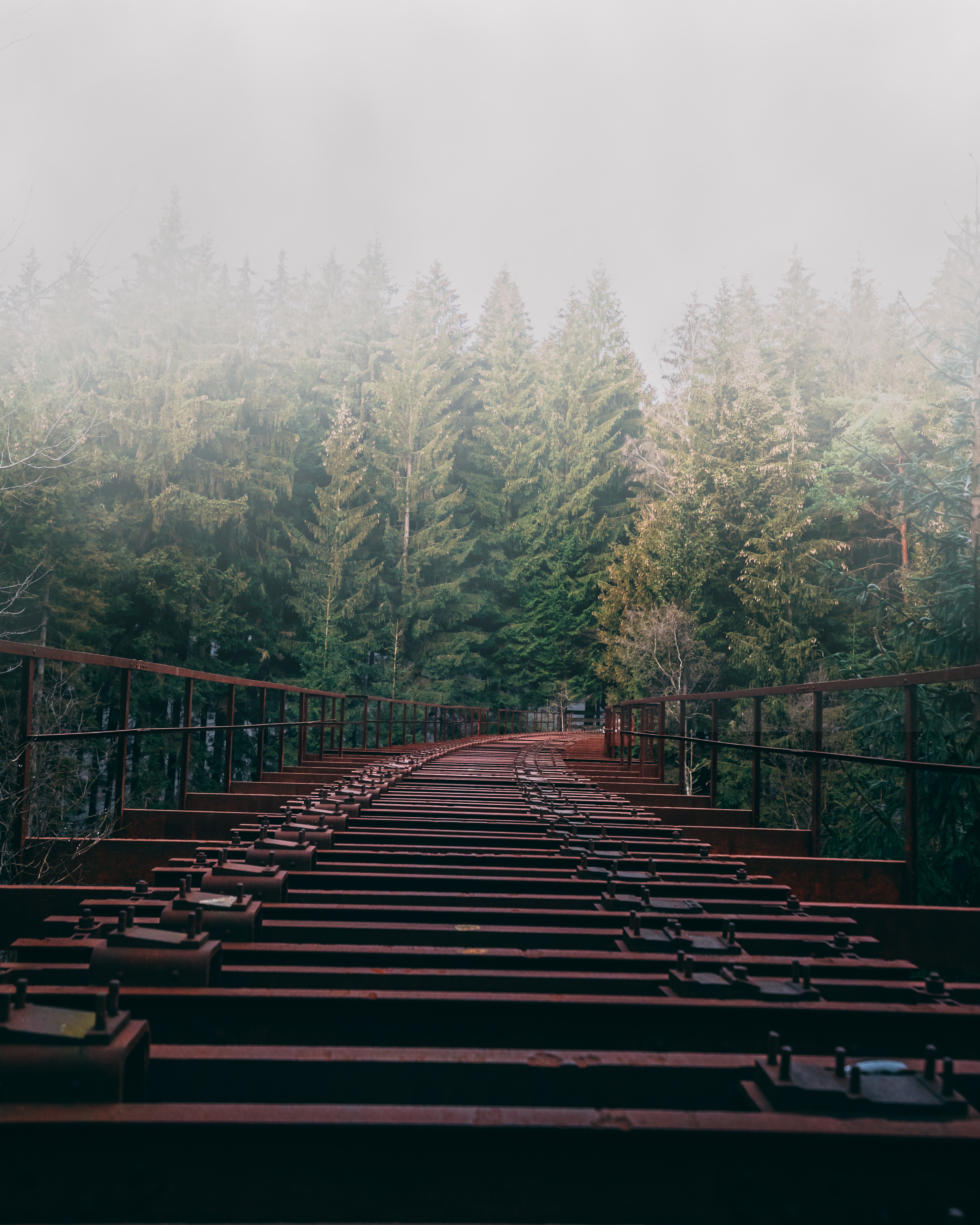 Скачать картинку Мост, Туман, Лес, Деревья, Разное в телефон бесплатно.