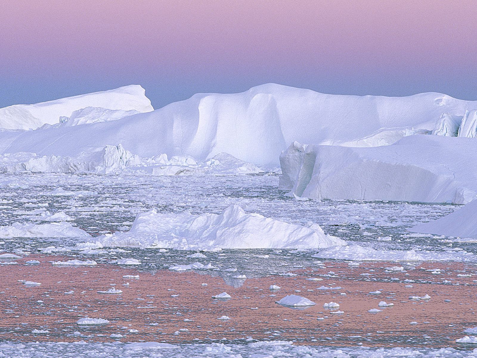 nature, pink, white, cold, iceberg, greenland