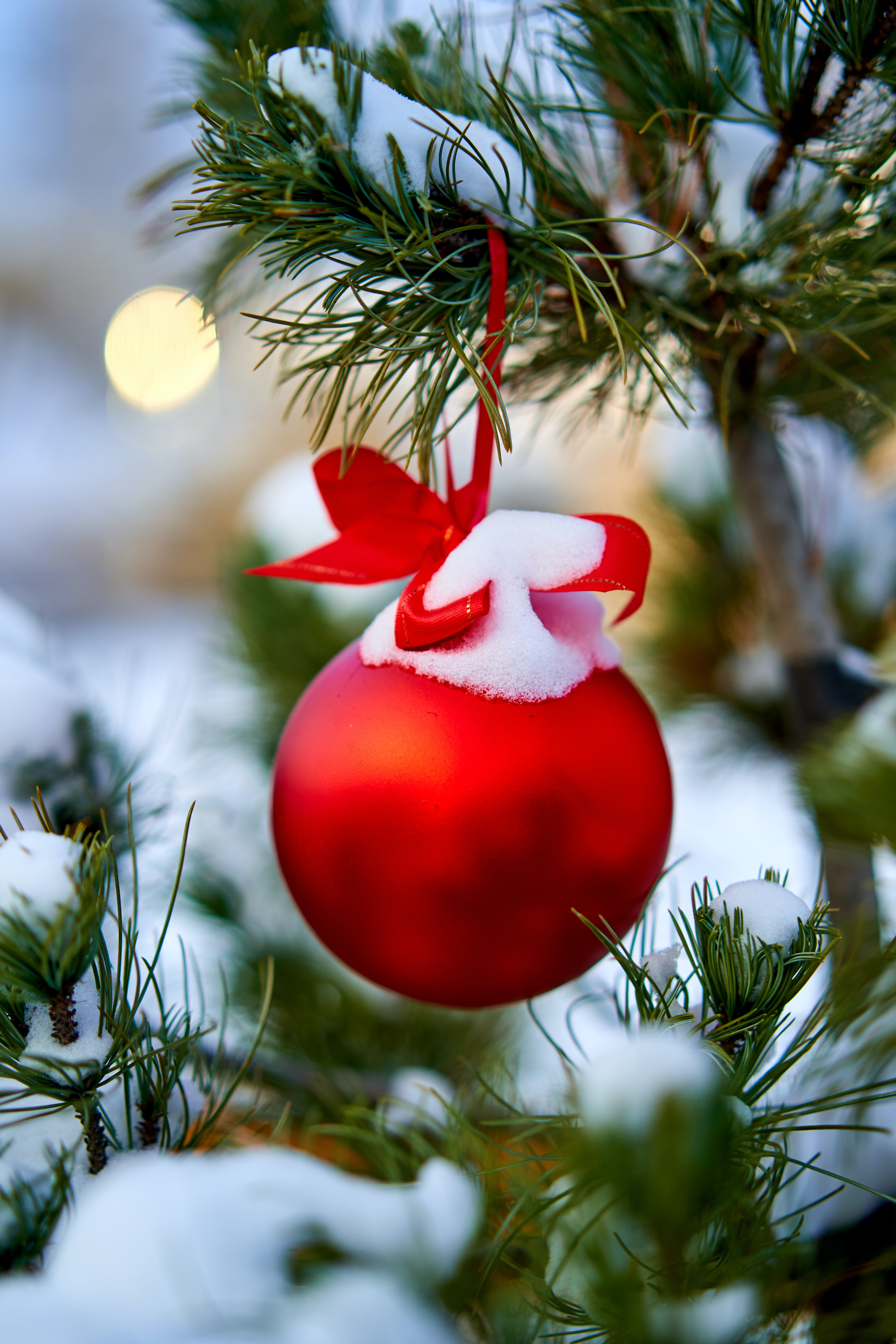 Laden Sie das Feiertage, Neues Jahr, Ball, Neujahr, Dekoration, Weihnachtsbaum, Schnee, Weihnachten-Bild kostenlos auf Ihren PC-Desktop herunter