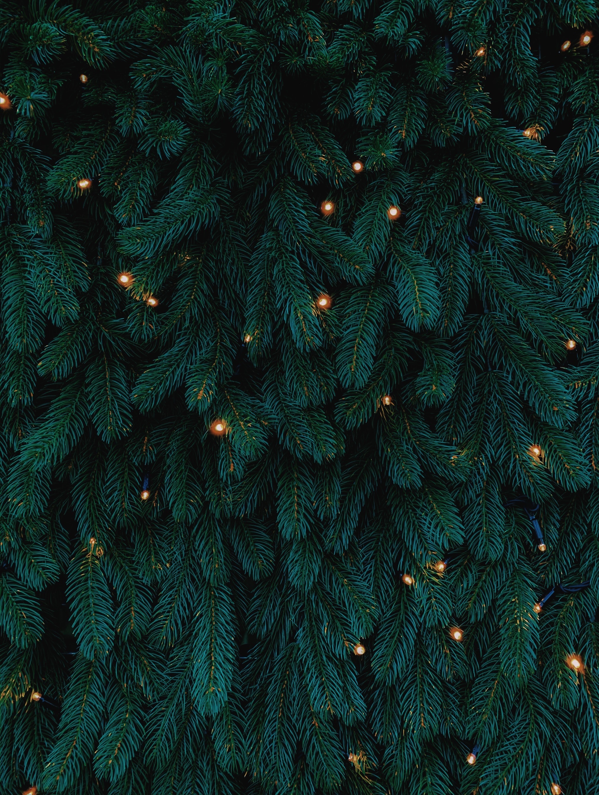 Download mobile wallpaper Christmas, Garlands, Christmas Tree, Holidays, New Year, Garland for free.