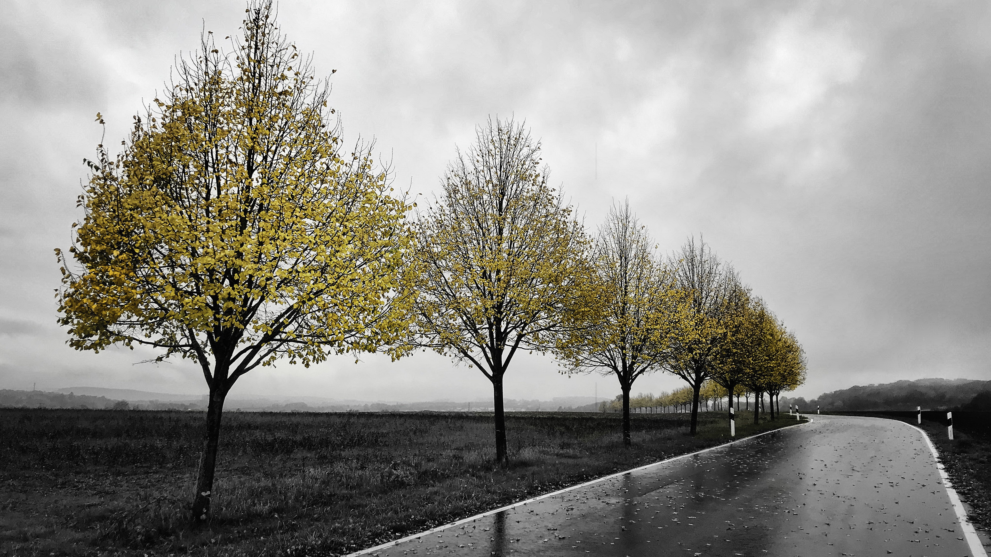 Free download wallpaper Road, Tree, Fall, Man Made on your PC desktop