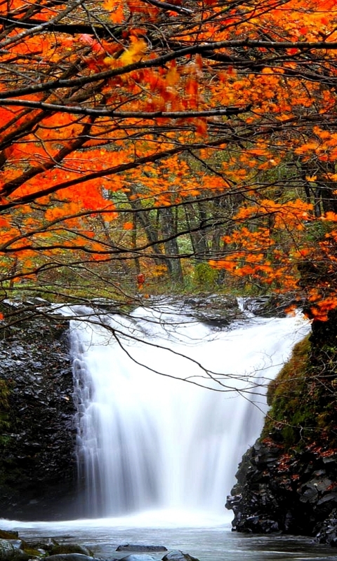 Handy-Wallpaper Herbst, Wasserfälle, Wasserfall, Erde/natur kostenlos herunterladen.