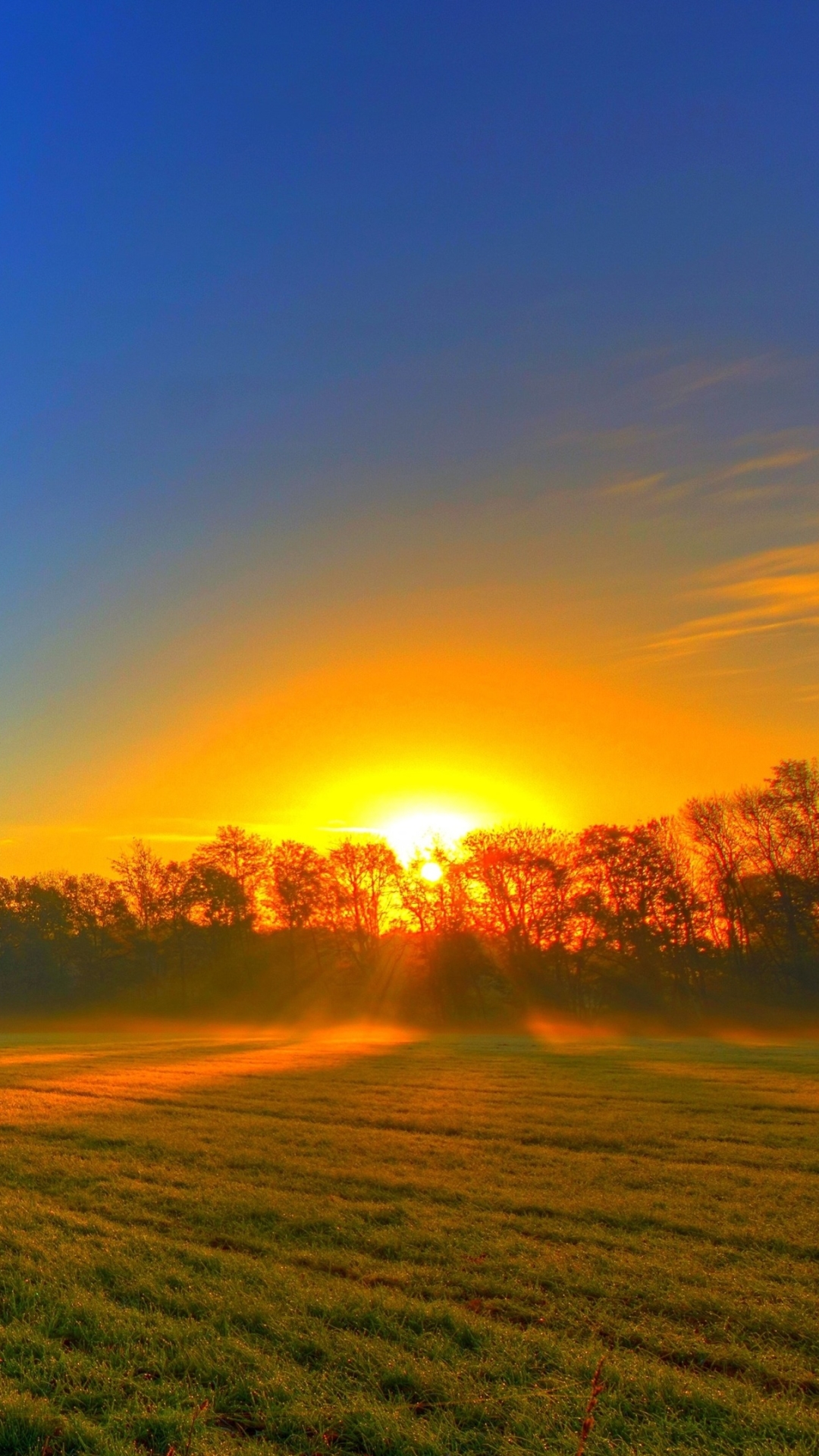 Descarga gratuita de fondo de pantalla para móvil de Cielo, Otoño, Campo, Atardecer, Tierra/naturaleza.