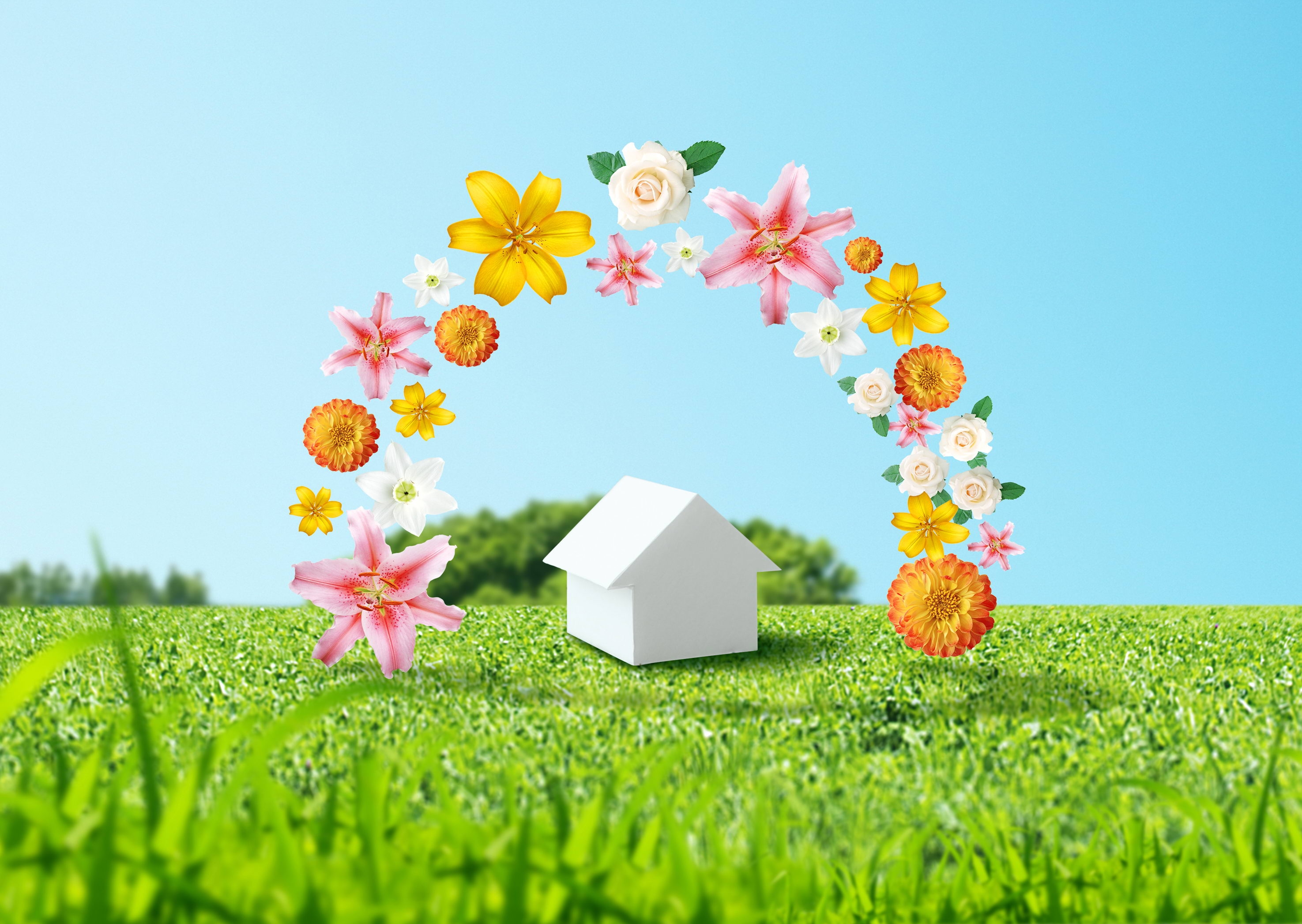 Download mobile wallpaper Miscellaneous, Environment, Miscellanea, Flowers, House for free.
