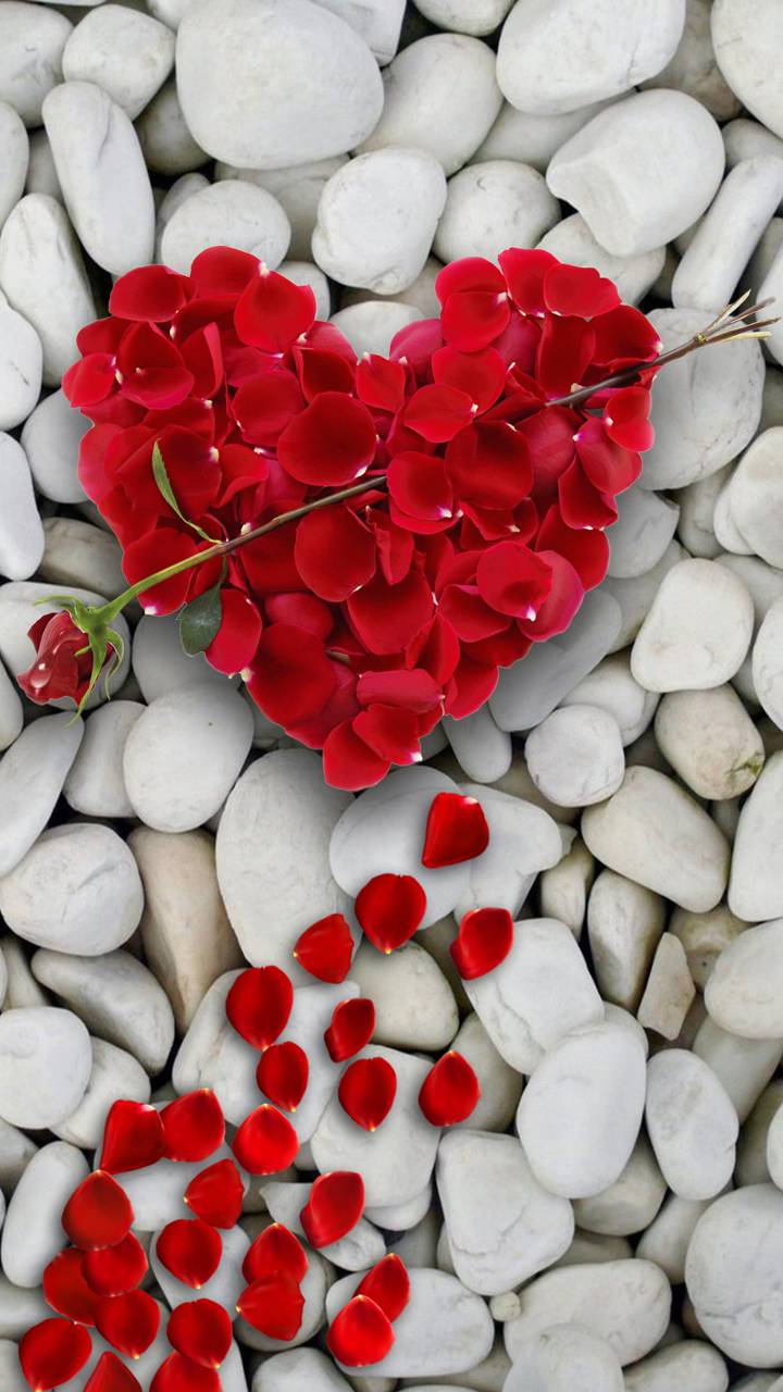 Download mobile wallpaper Valentine's Day, Holiday, Stone, Petal for free.