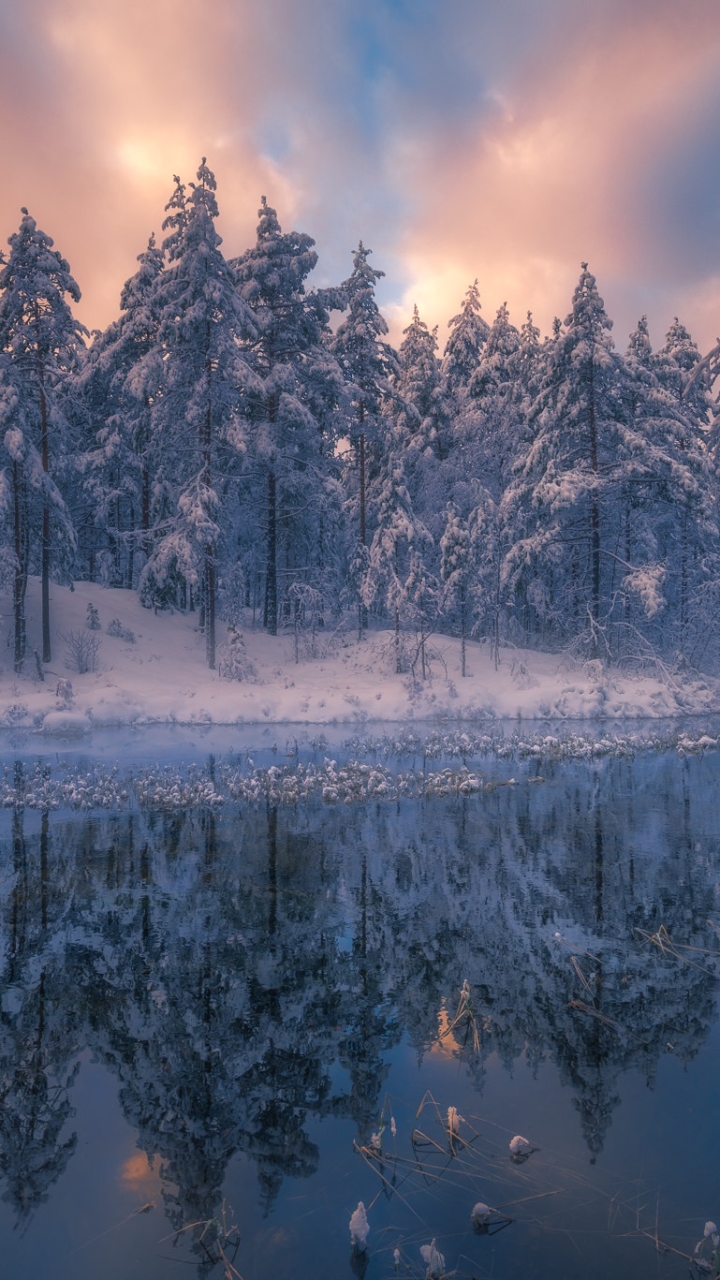 Download mobile wallpaper Winter, Nature, Snow, Reflection, Tree, Earth, River for free.