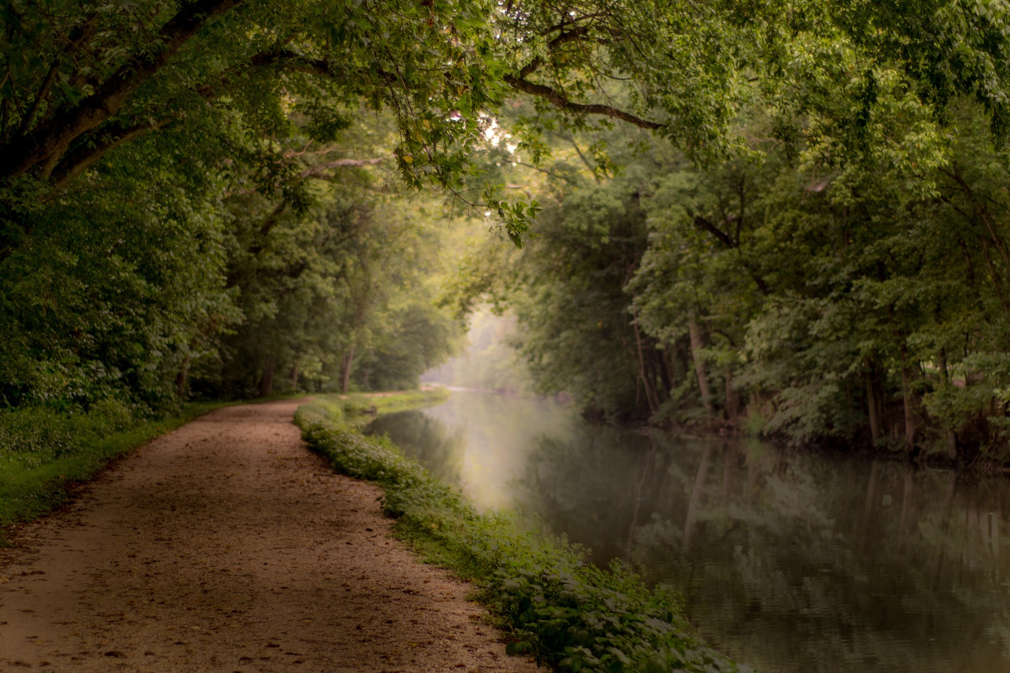 Free download wallpaper Nature, Forest, Earth, Path, River on your PC desktop