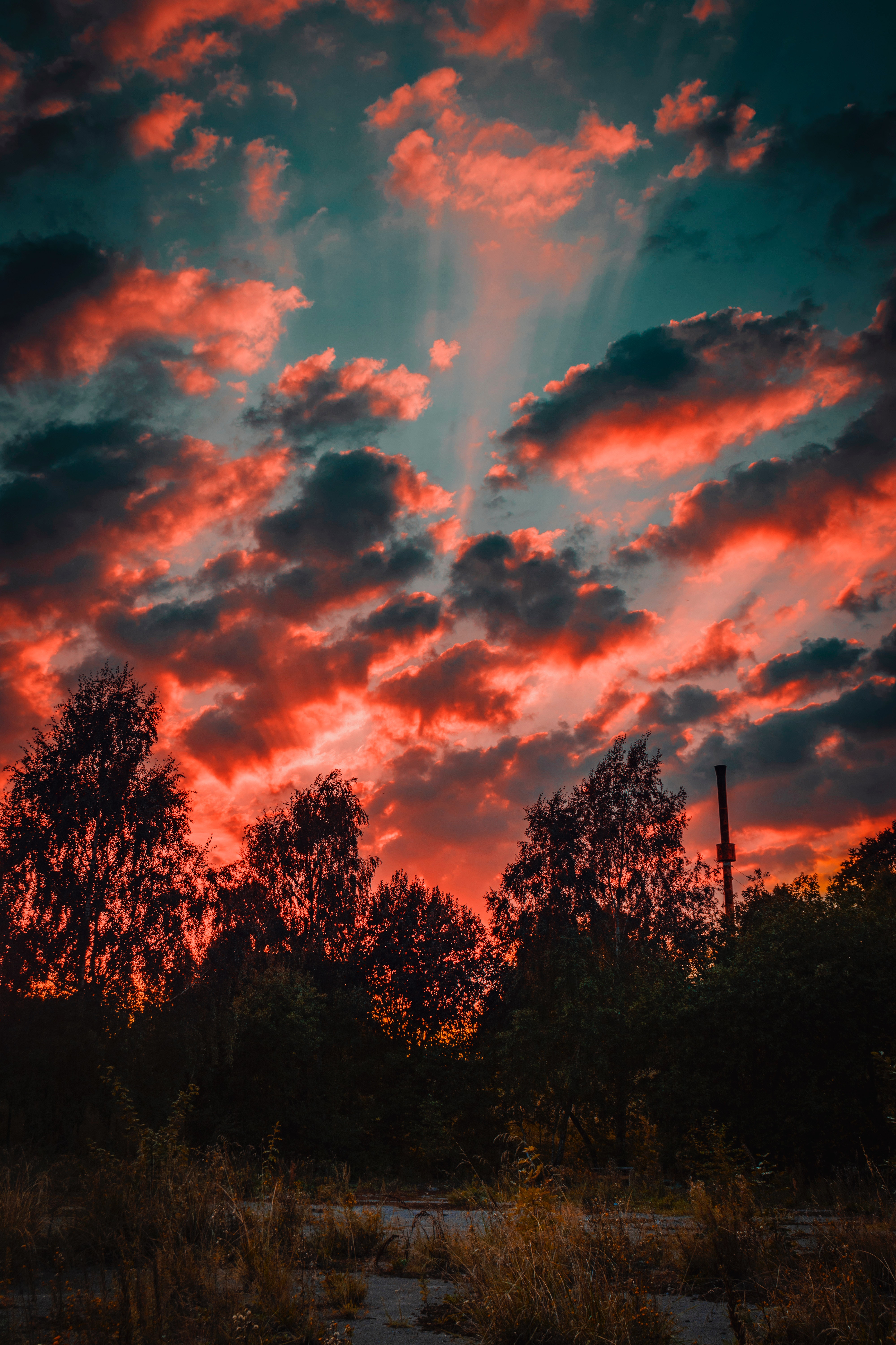 Download mobile wallpaper Sky, Clouds, Trees, Evening, Nature, Sunset, Autumn for free.