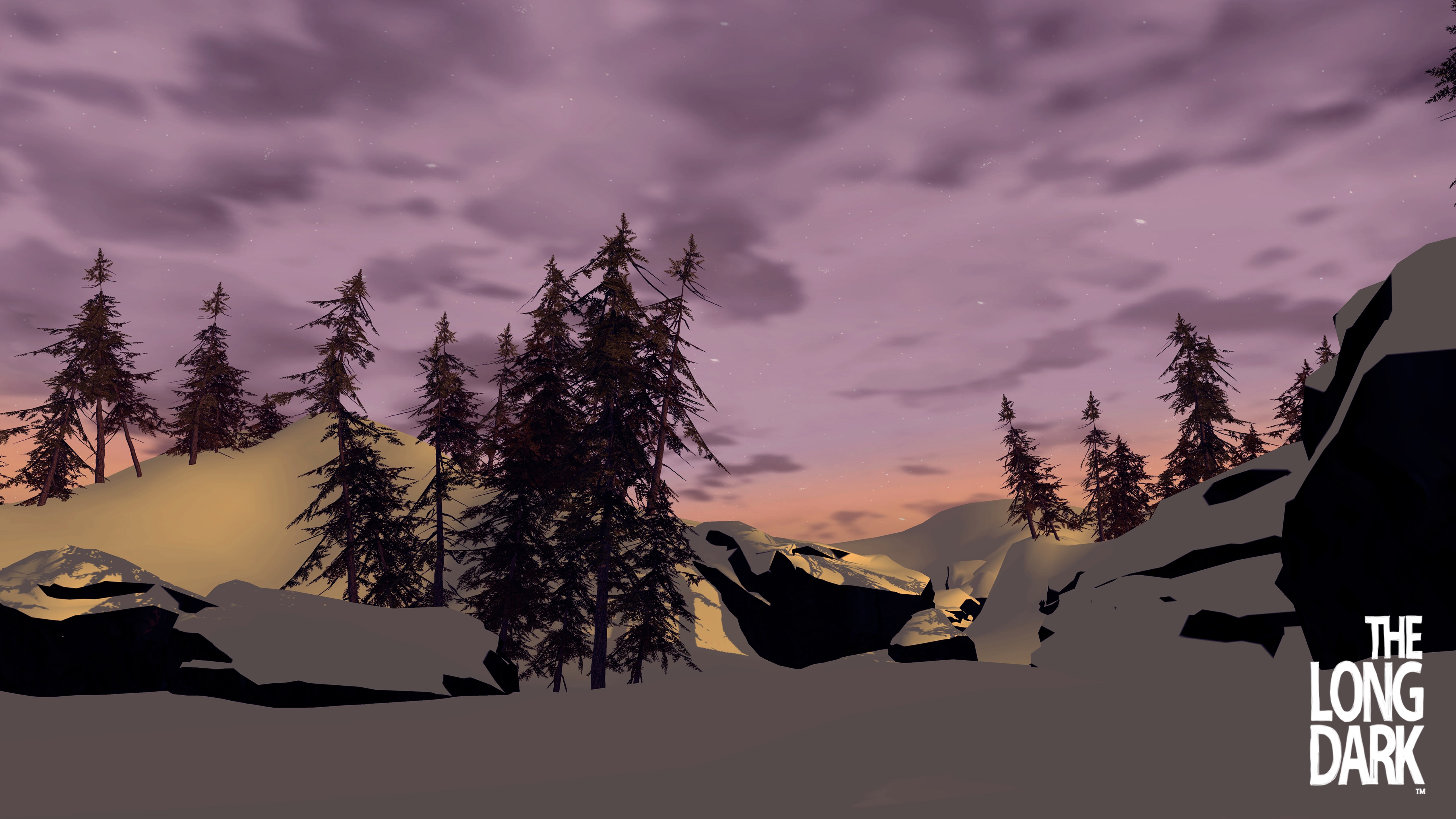 the long dark, video game
