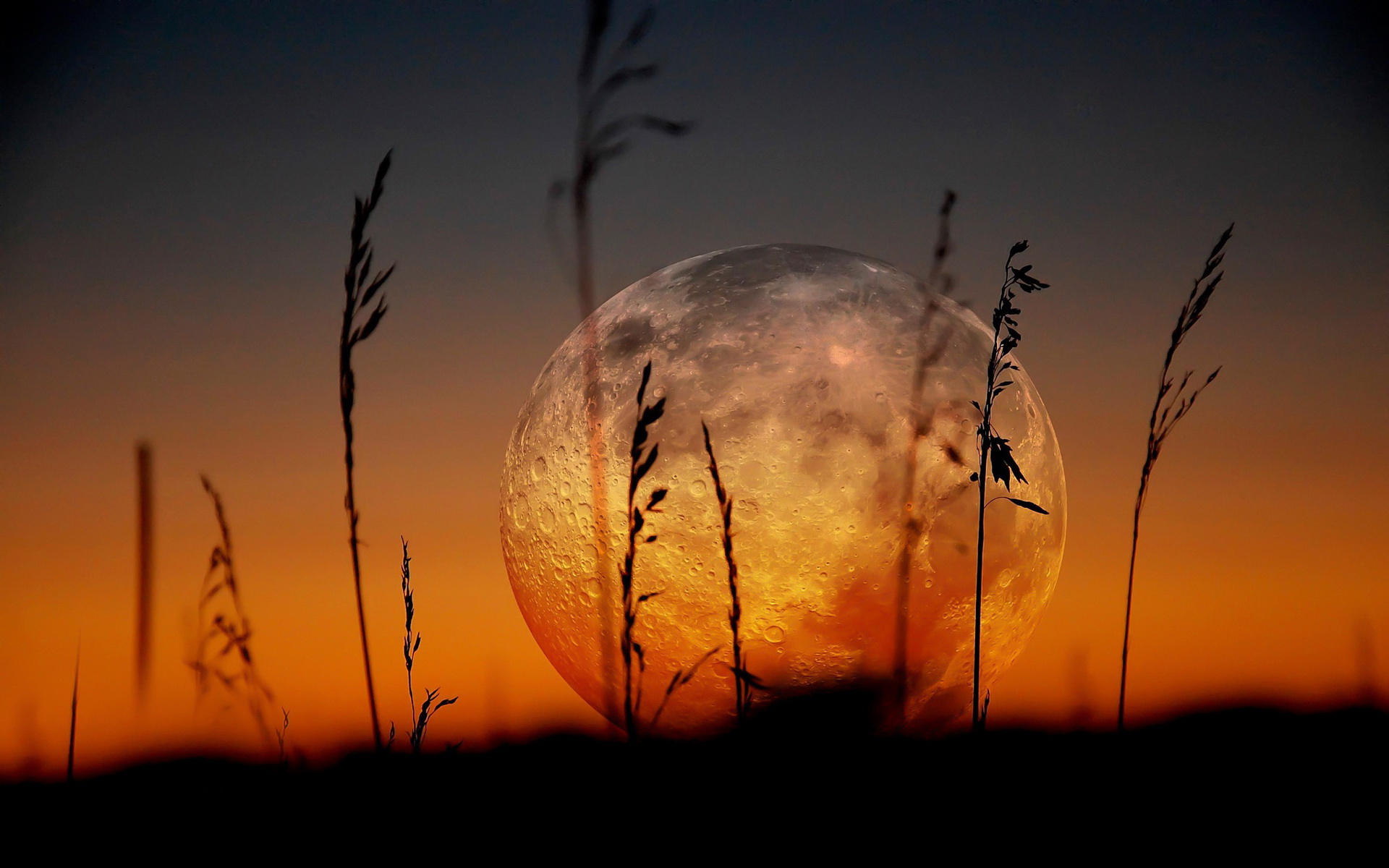 Téléchargez gratuitement l'image Lune, Terre/nature sur le bureau de votre PC