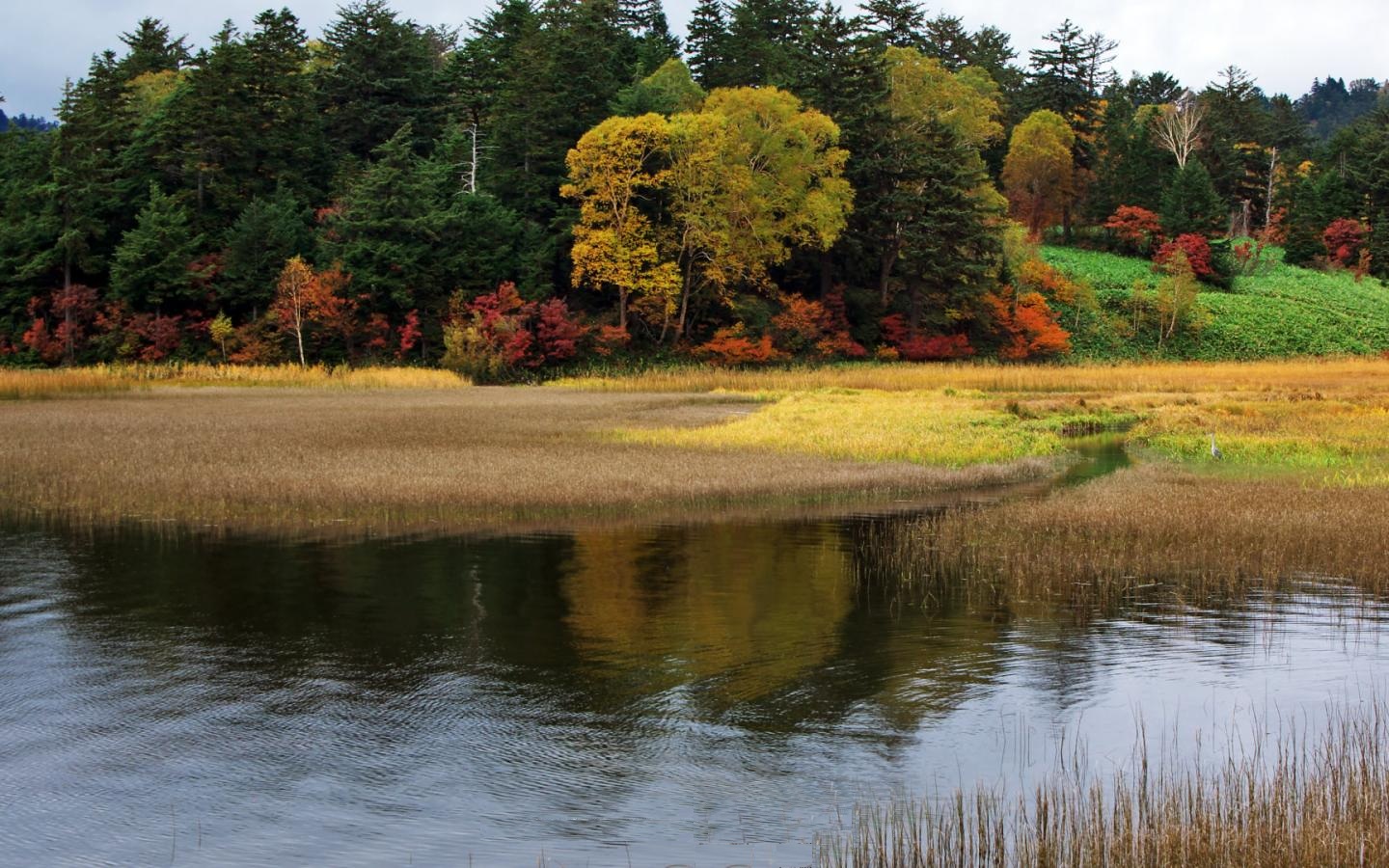 Descarga gratis la imagen Paisaje, Tierra/naturaleza en el escritorio de tu PC