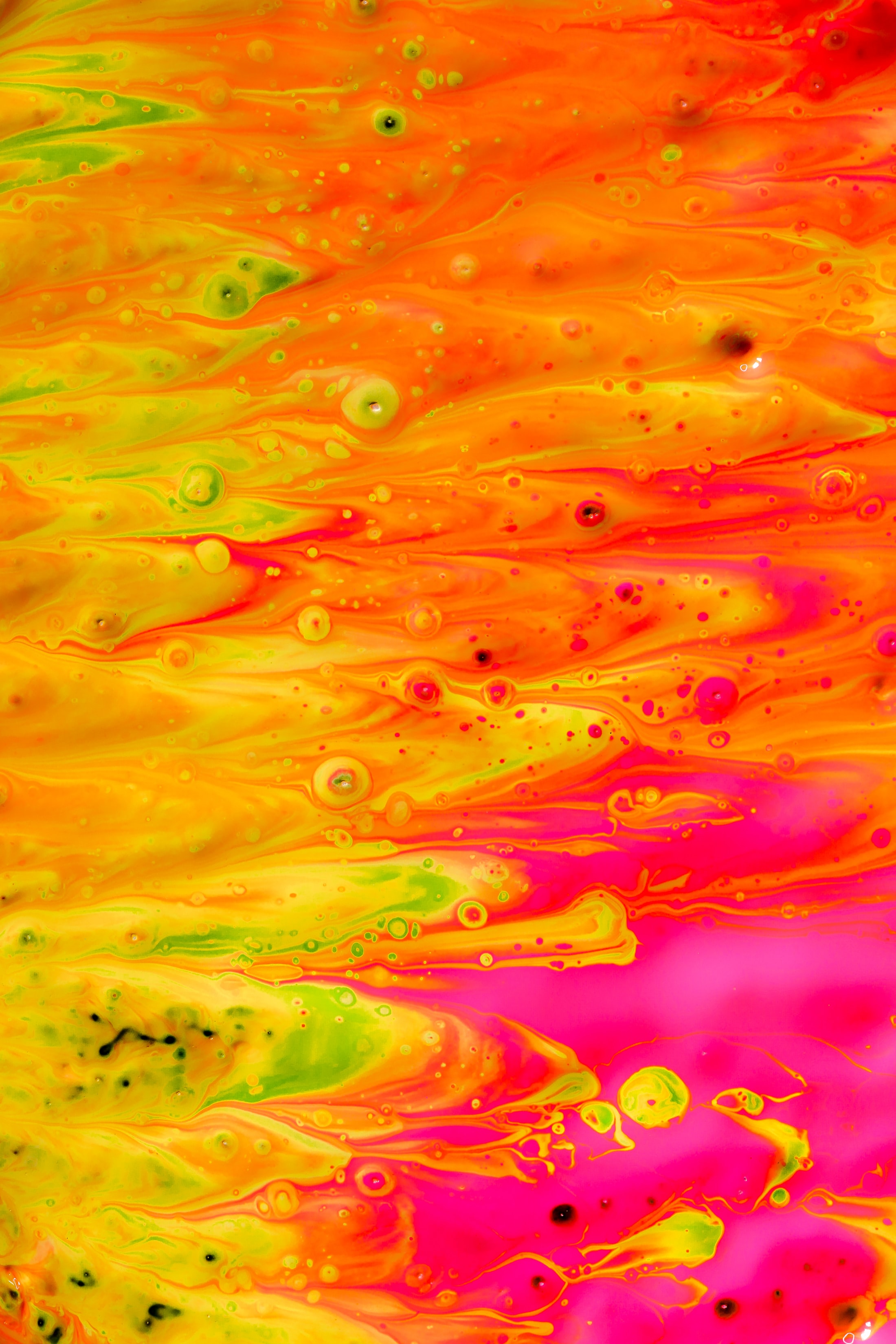 multicolored, divorces, abstract, motley, paint, liquid, distortion phone wallpaper