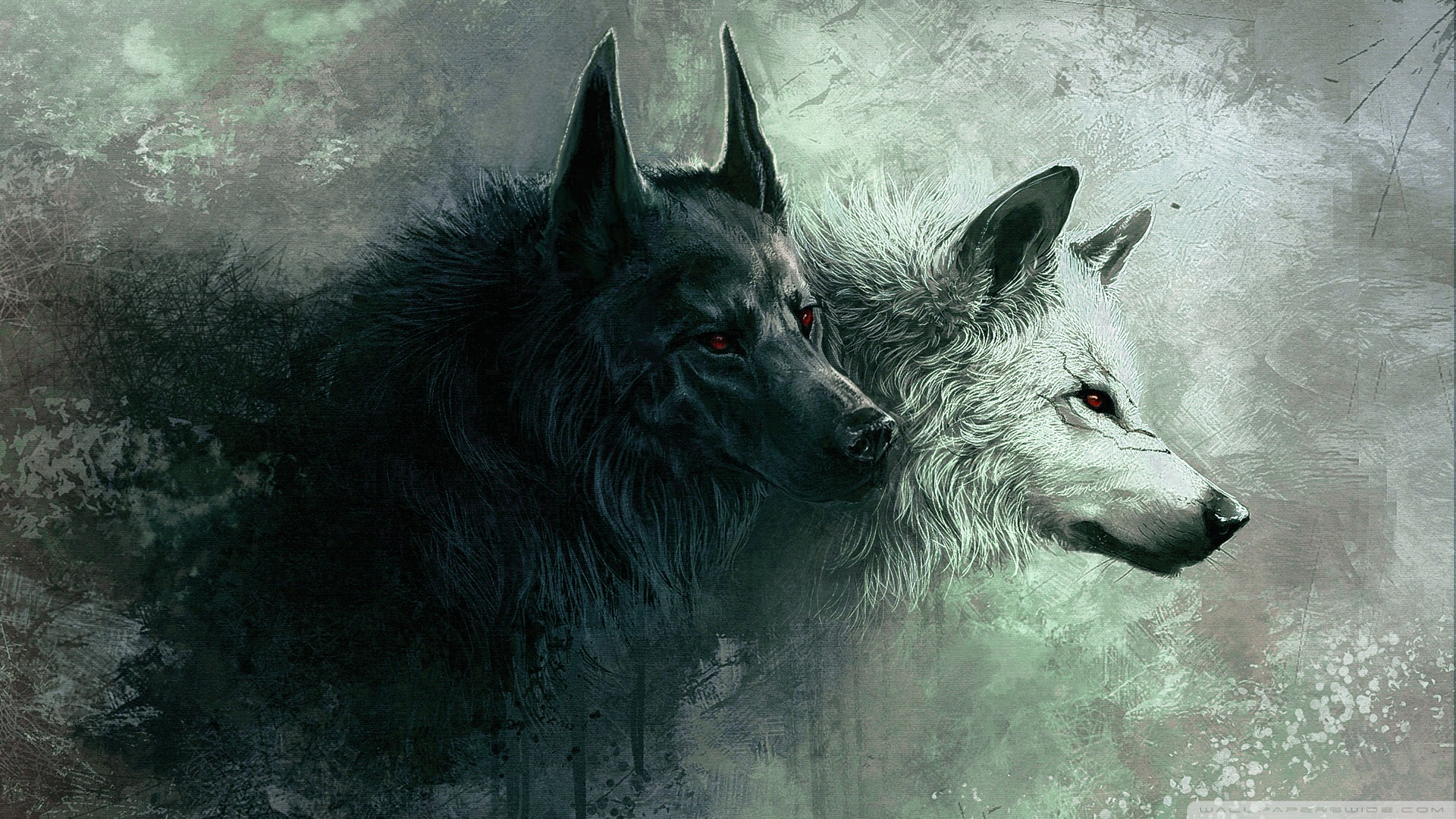 wolf, animal, wolves HD wallpaper