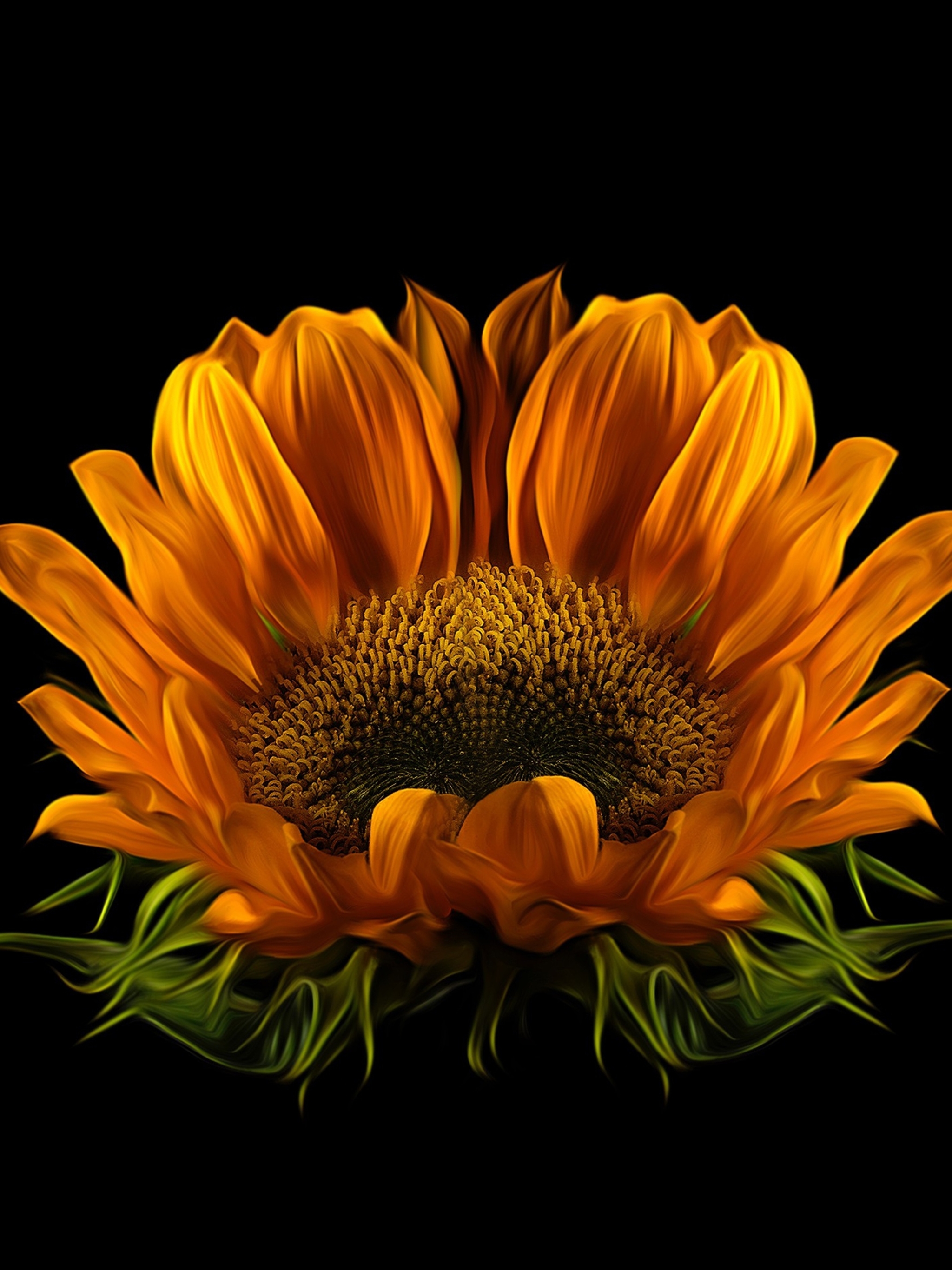 Descarga gratuita de fondo de pantalla para móvil de Flores, Macro, Girasol, Pétalo, Tierra/naturaleza, Macrofotografía.