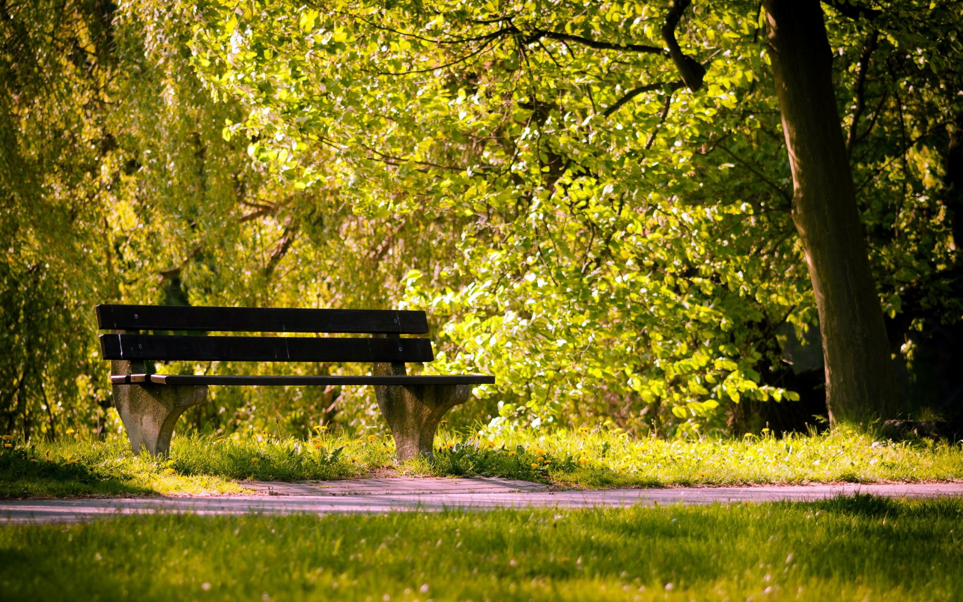 Free download wallpaper Bench, Man Made on your PC desktop