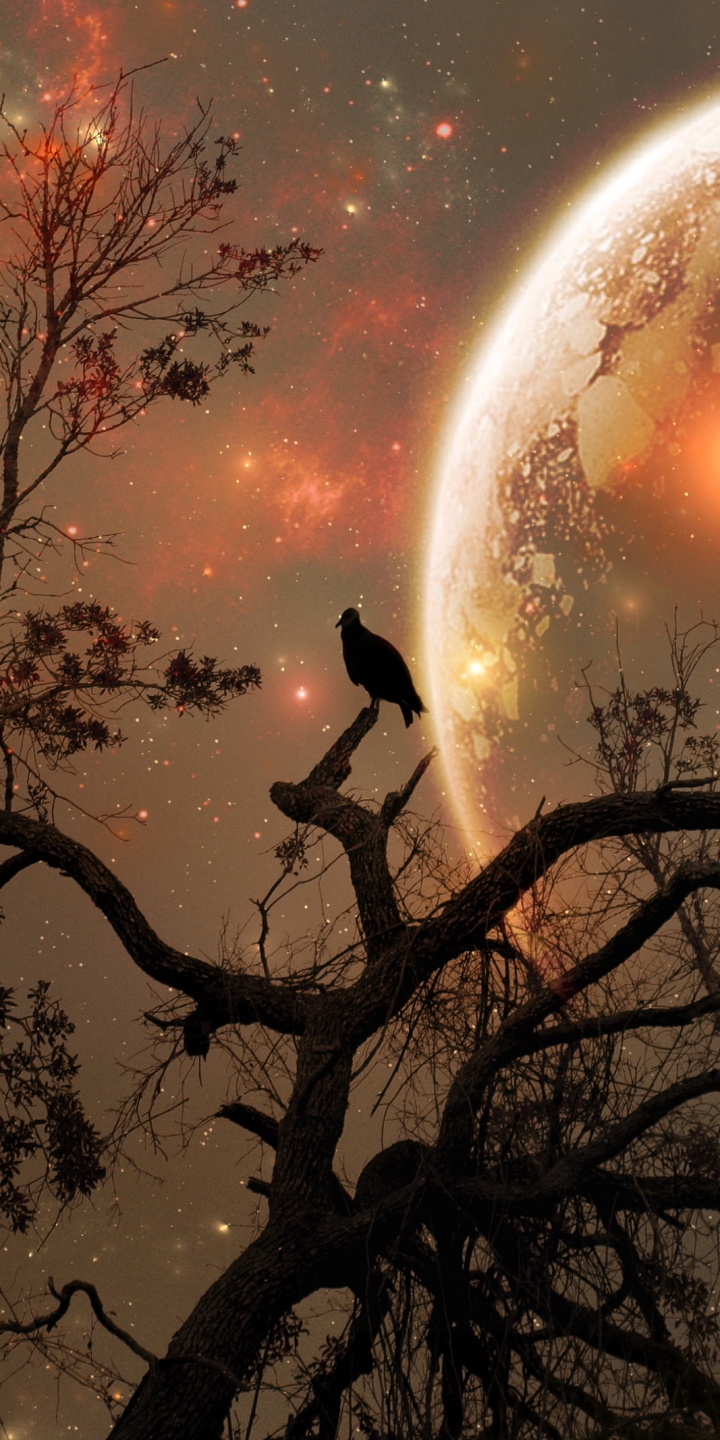 Handy-Wallpaper Fantasie, Vogel, Planet, Science Fiction, Nacht kostenlos herunterladen.