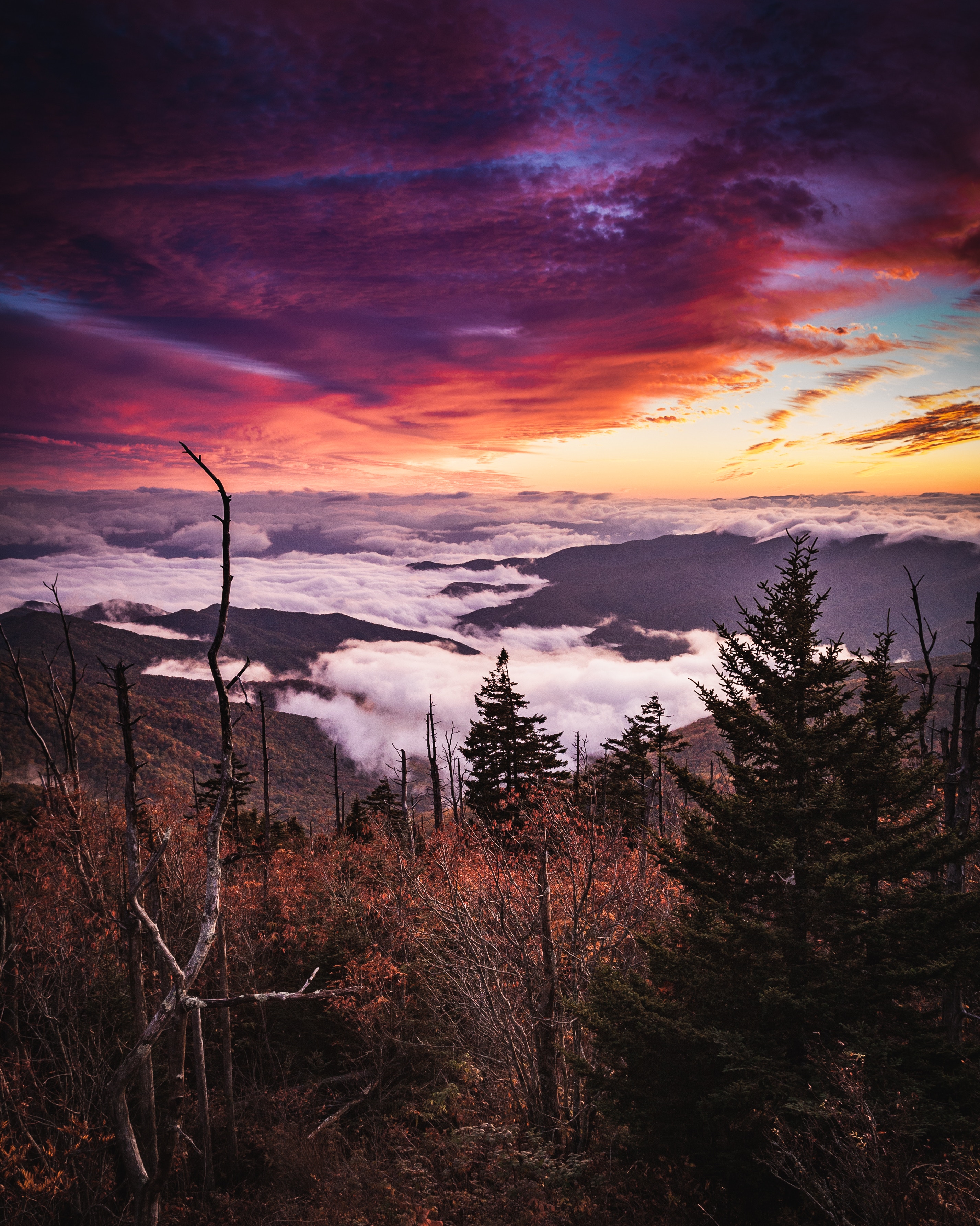 PCデスクトップに風景, 自然, 山脈, 雲, 森林, 森, 霧画像を無料でダウンロード