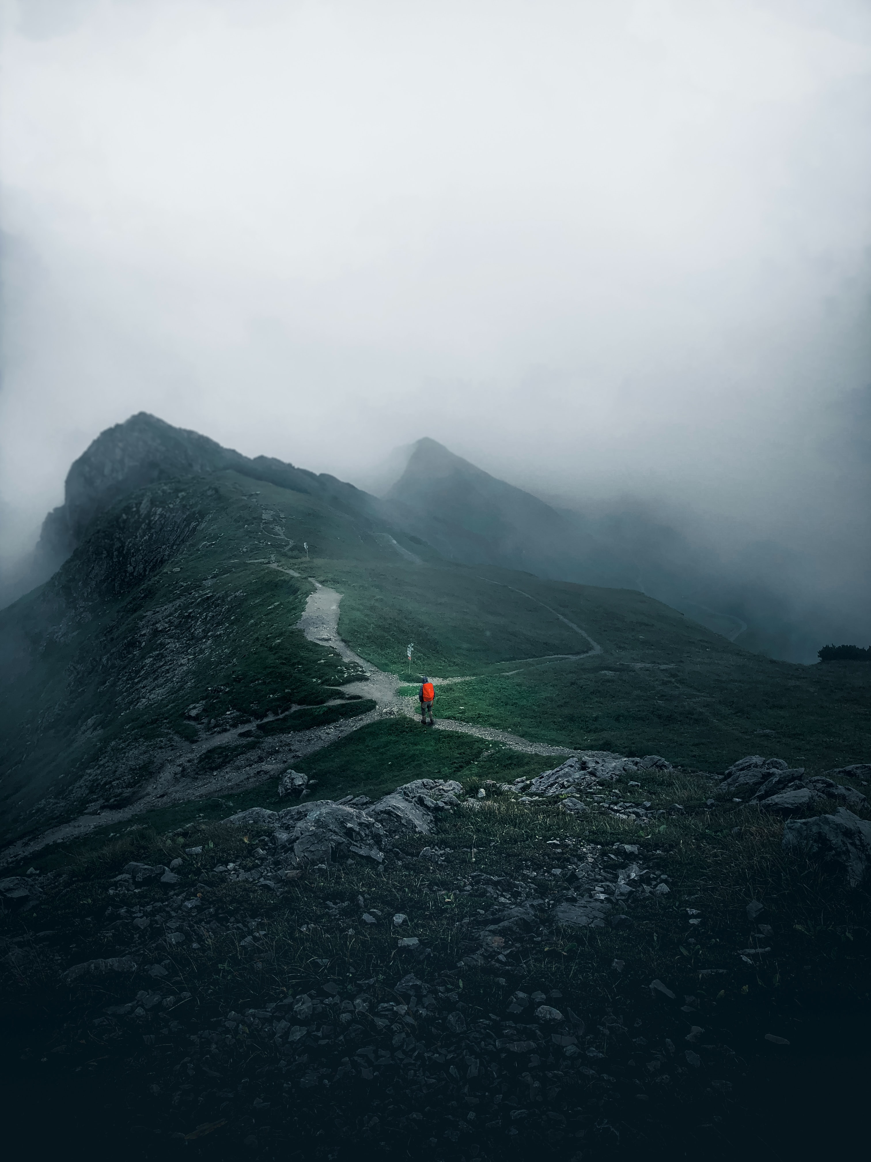 lonely, mountains, miscellanea, miscellaneous, fog, journey, loneliness, alone, traveler, traveller