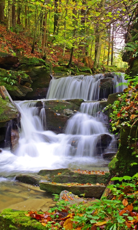 Descarga gratuita de fondo de pantalla para móvil de Naturaleza, Chorro, Tierra/naturaleza.