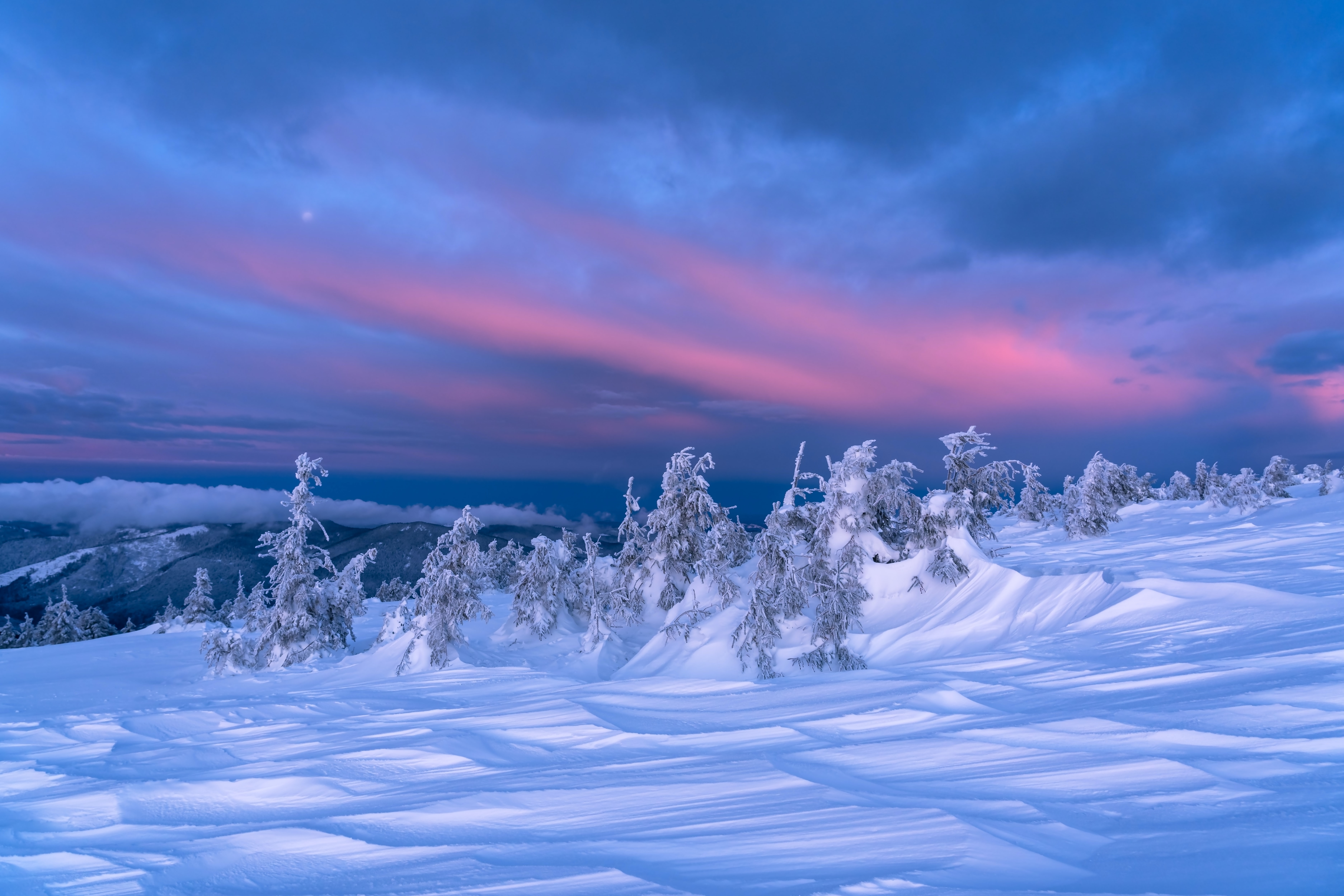 Laden Sie das Winter, Dämmerung, Twilight, Bäume, Natur, Schnee, Landschaft-Bild kostenlos auf Ihren PC-Desktop herunter