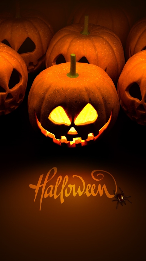 Téléchargez des papiers peints mobile Halloween, Vacances, Citrouille D'halloween, Vacance gratuitement.